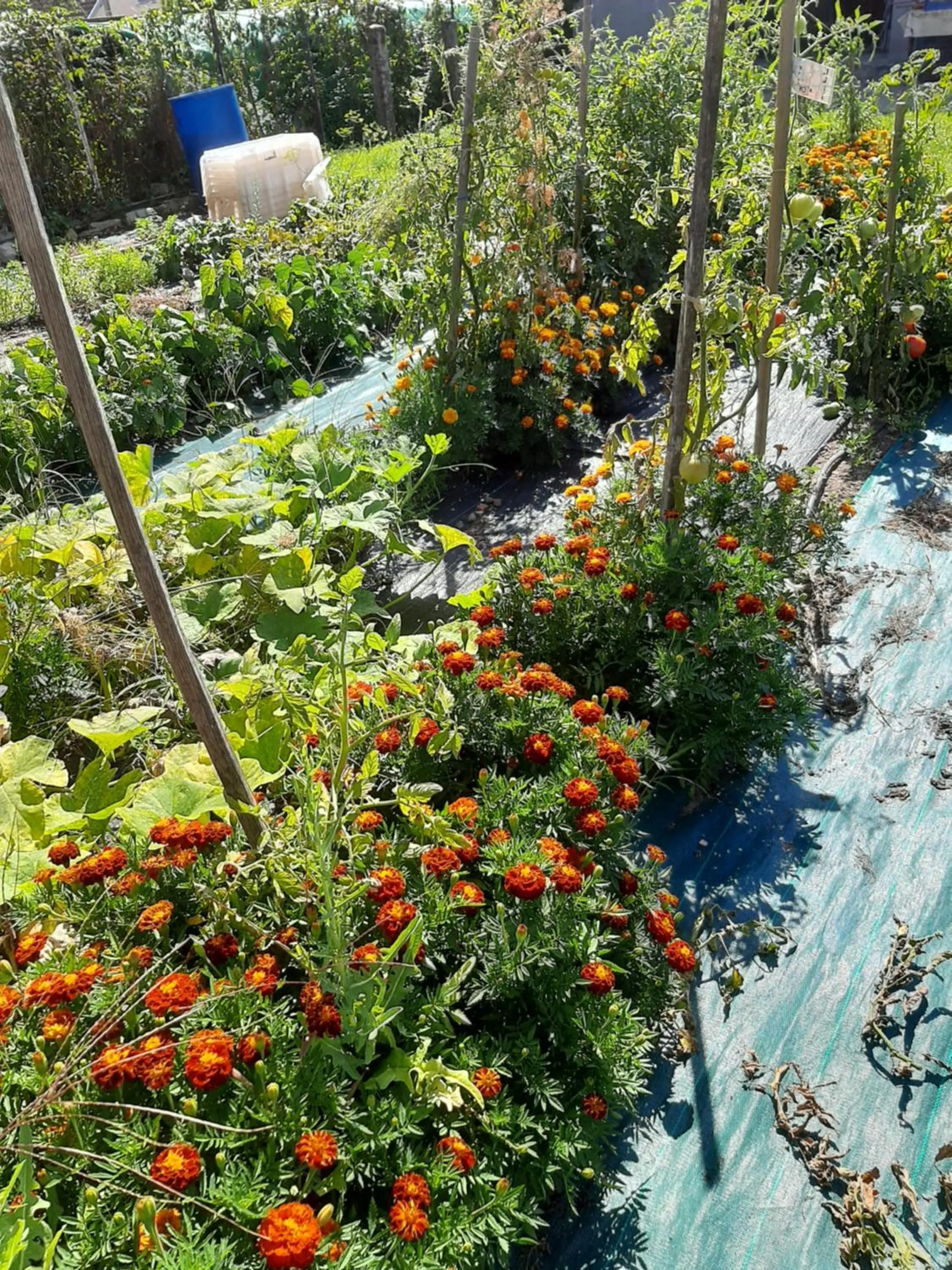 Autumn in La Coutrotte Becquine