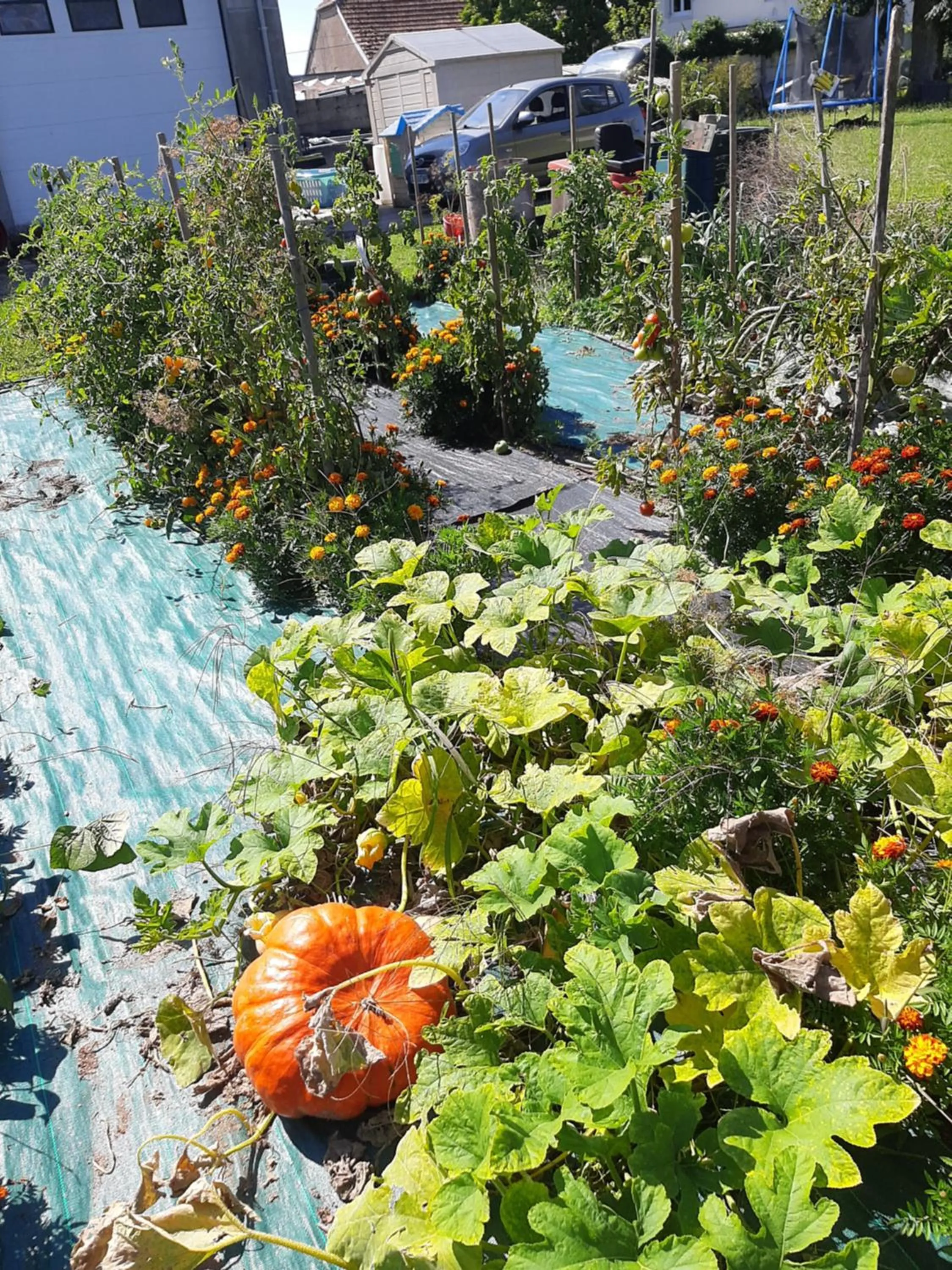 Autumn in La Coutrotte Becquine