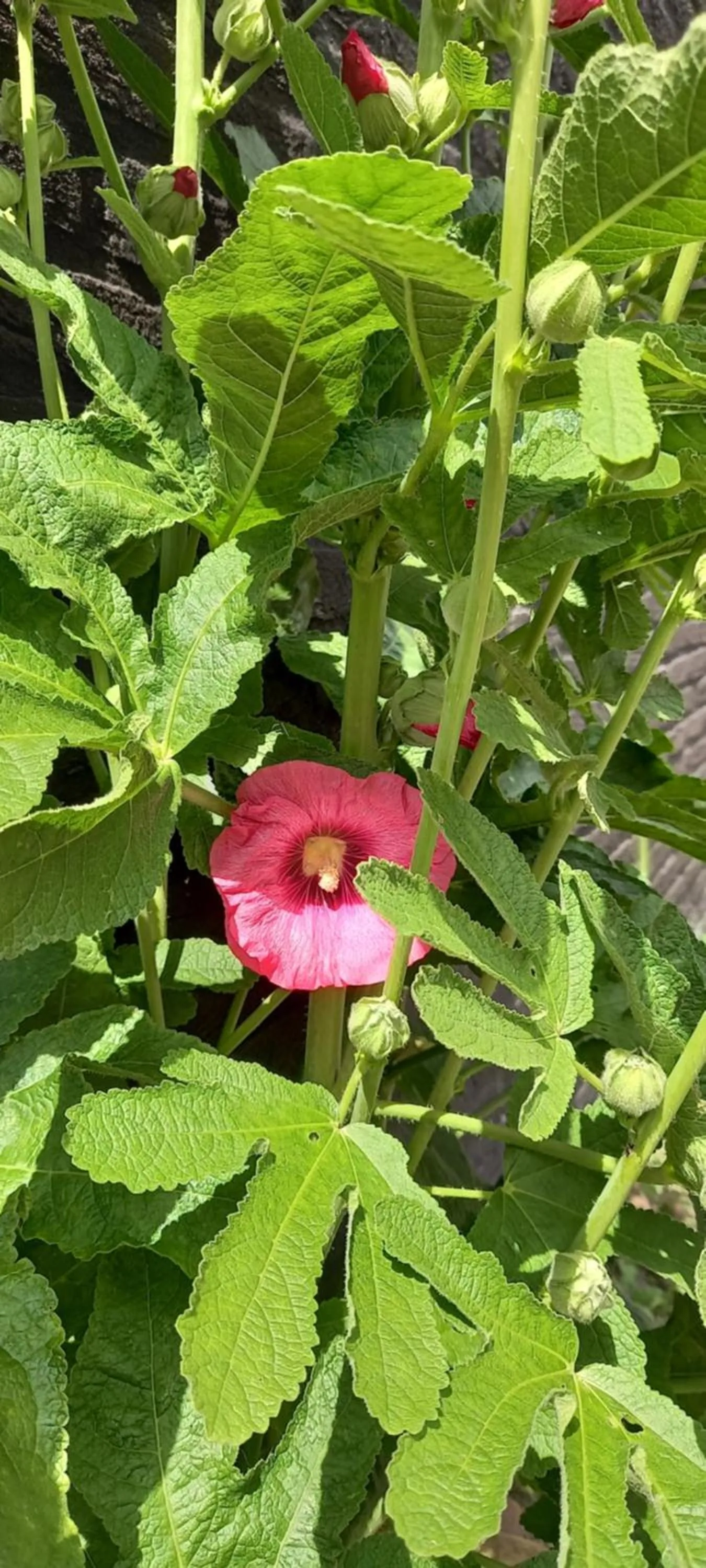 Quiet street view in B&B Van Amsterdam
