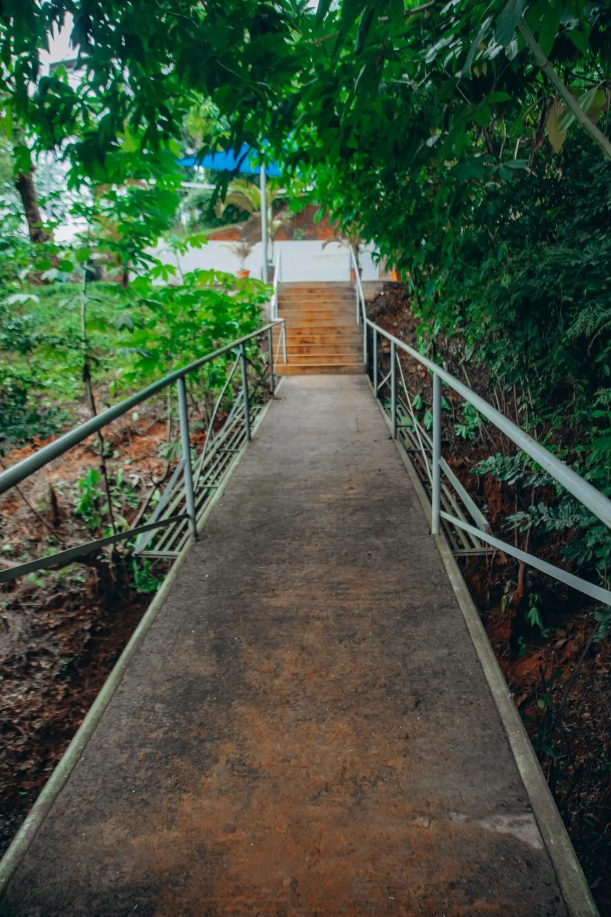 Garden in Edelwyss-Inn