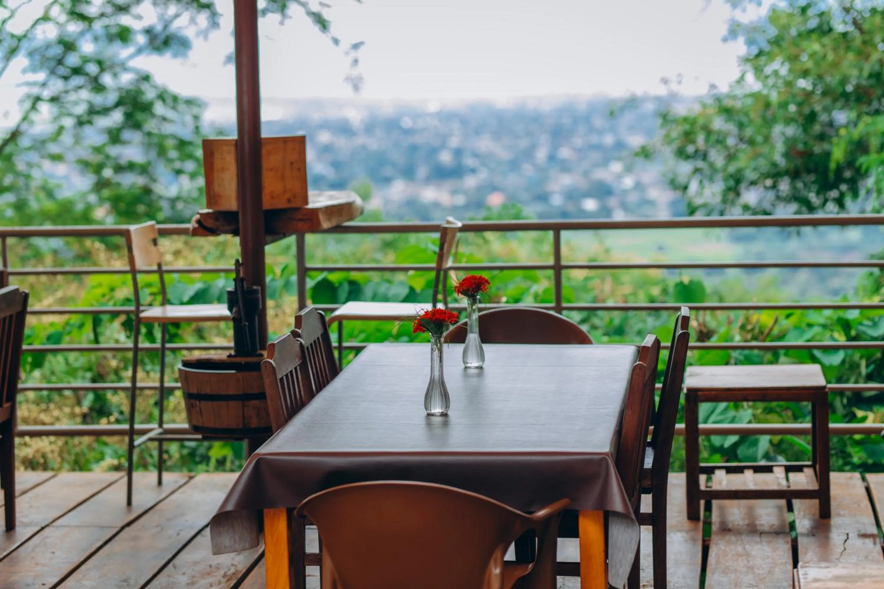 Patio in Edelwyss-Inn