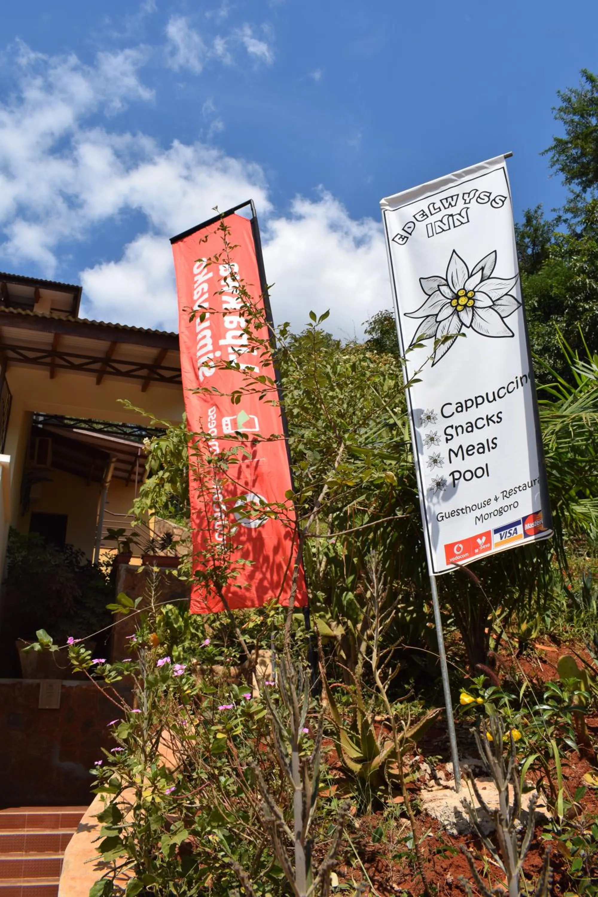 Property building in Edelwyss-Inn