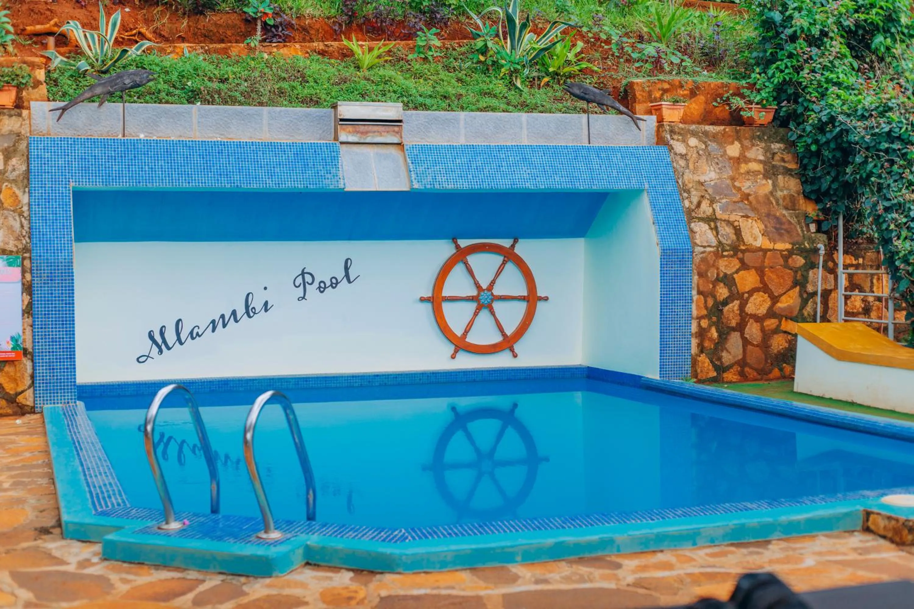 Swimming pool in Edelwyss-Inn