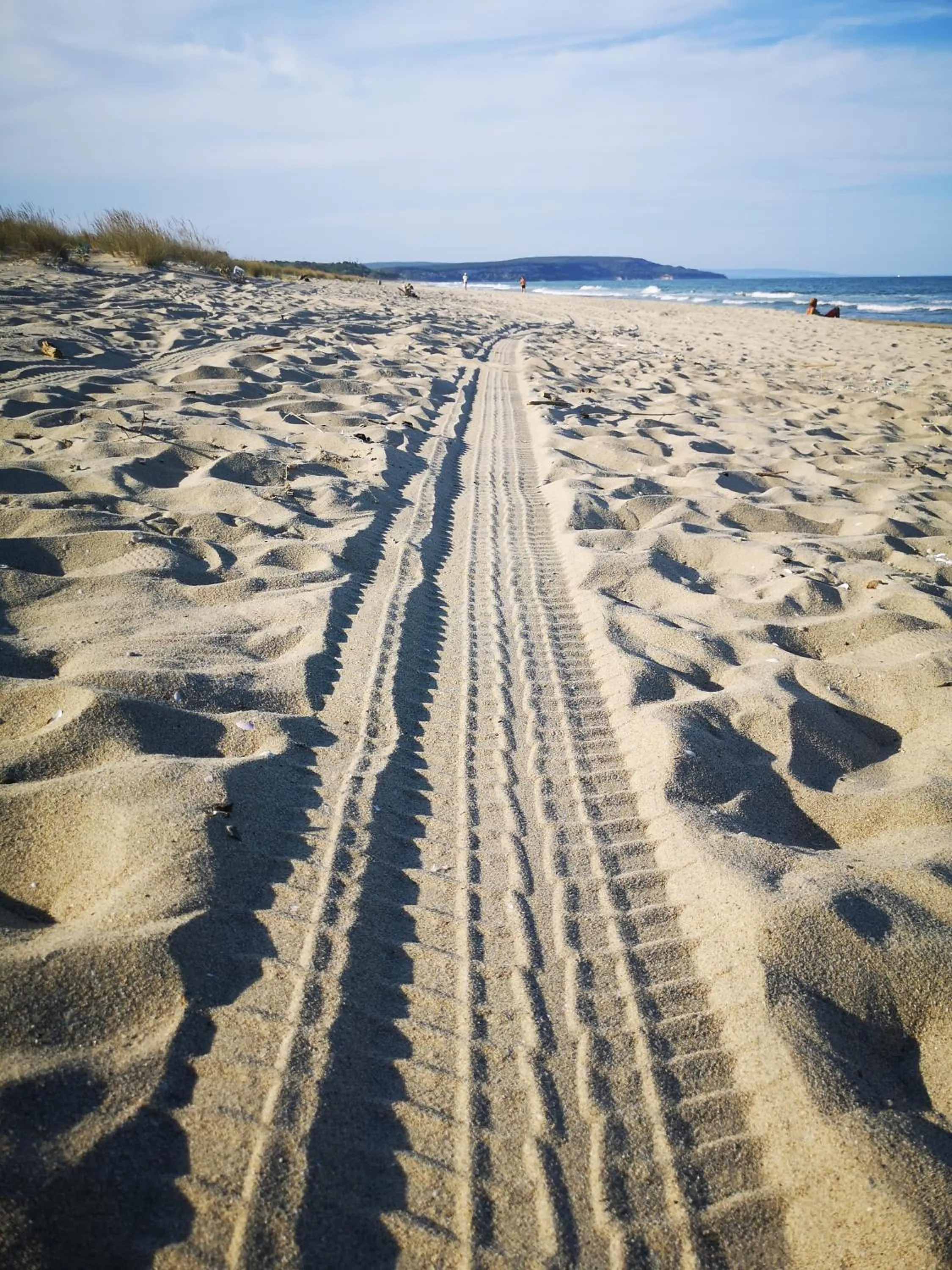 Natural landscape in Weißer Schwan Белият лебед