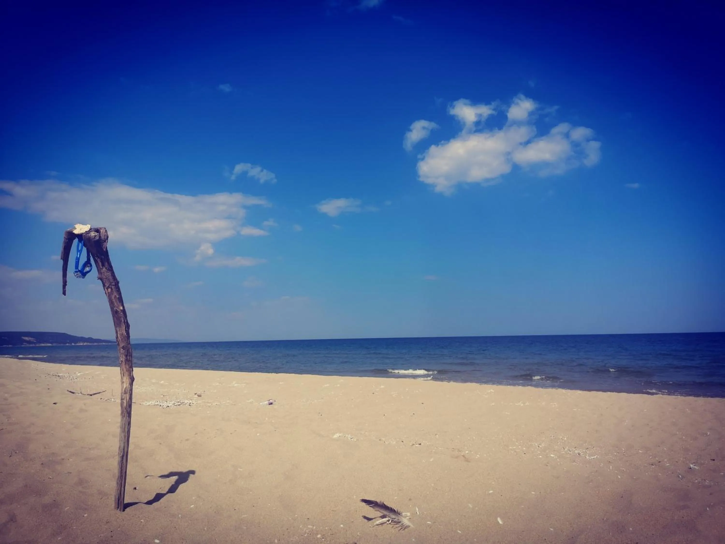 Sea view in Weißer Schwan Белият лебед