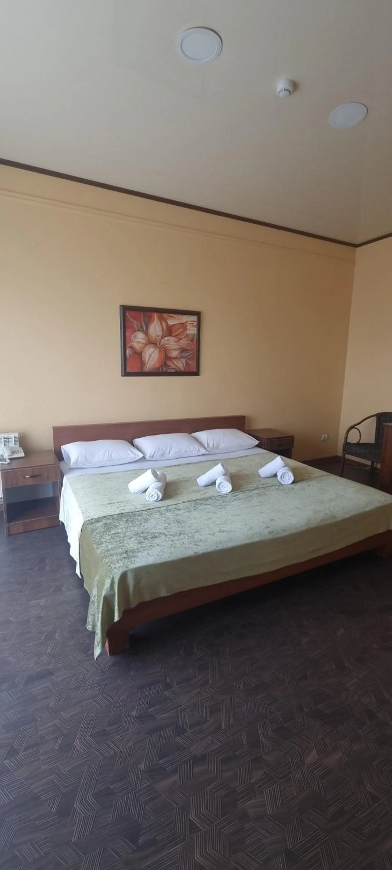 Superior King Room in Hotel Salem