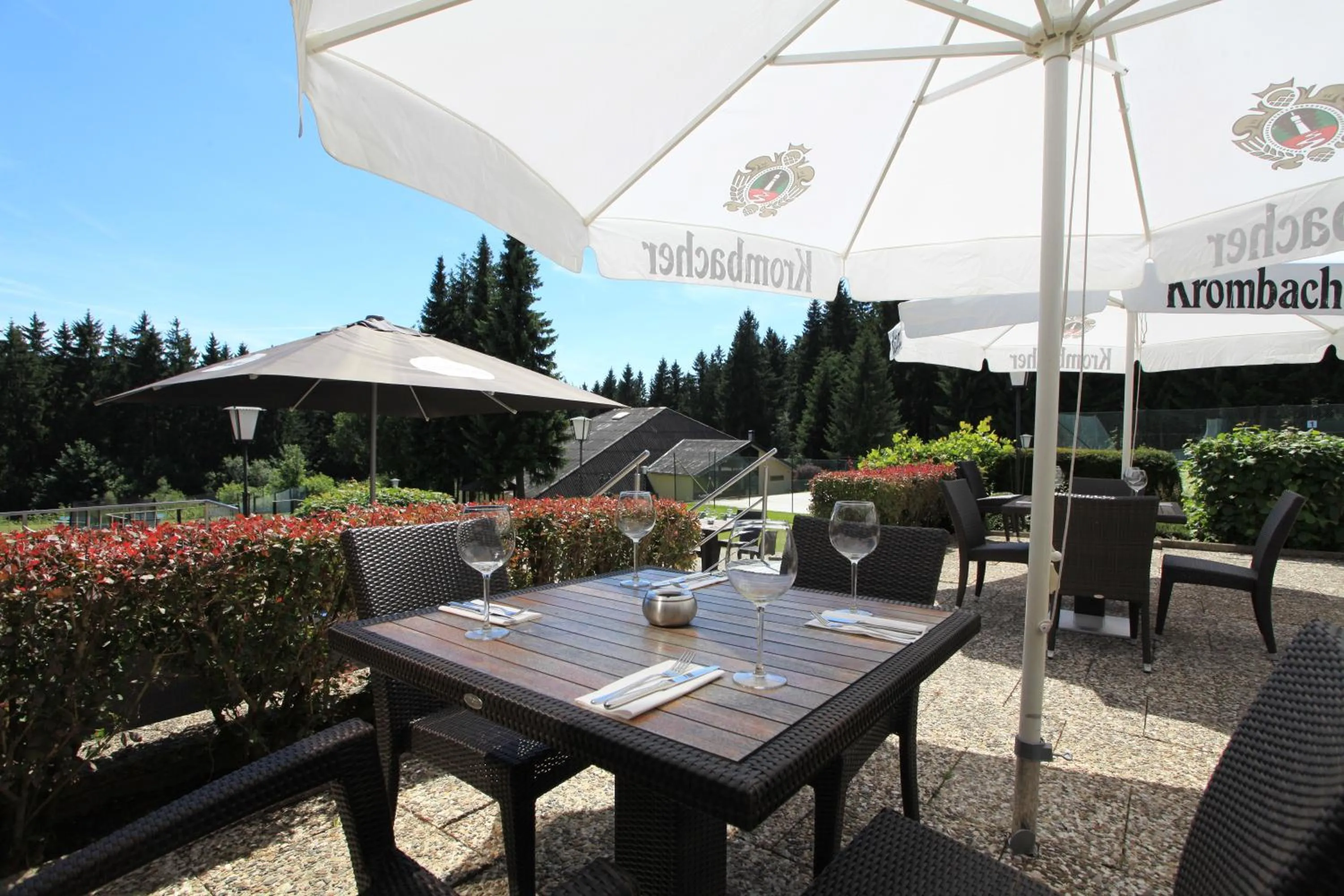 Balcony/Terrace in Vitalhotel Schulenberg