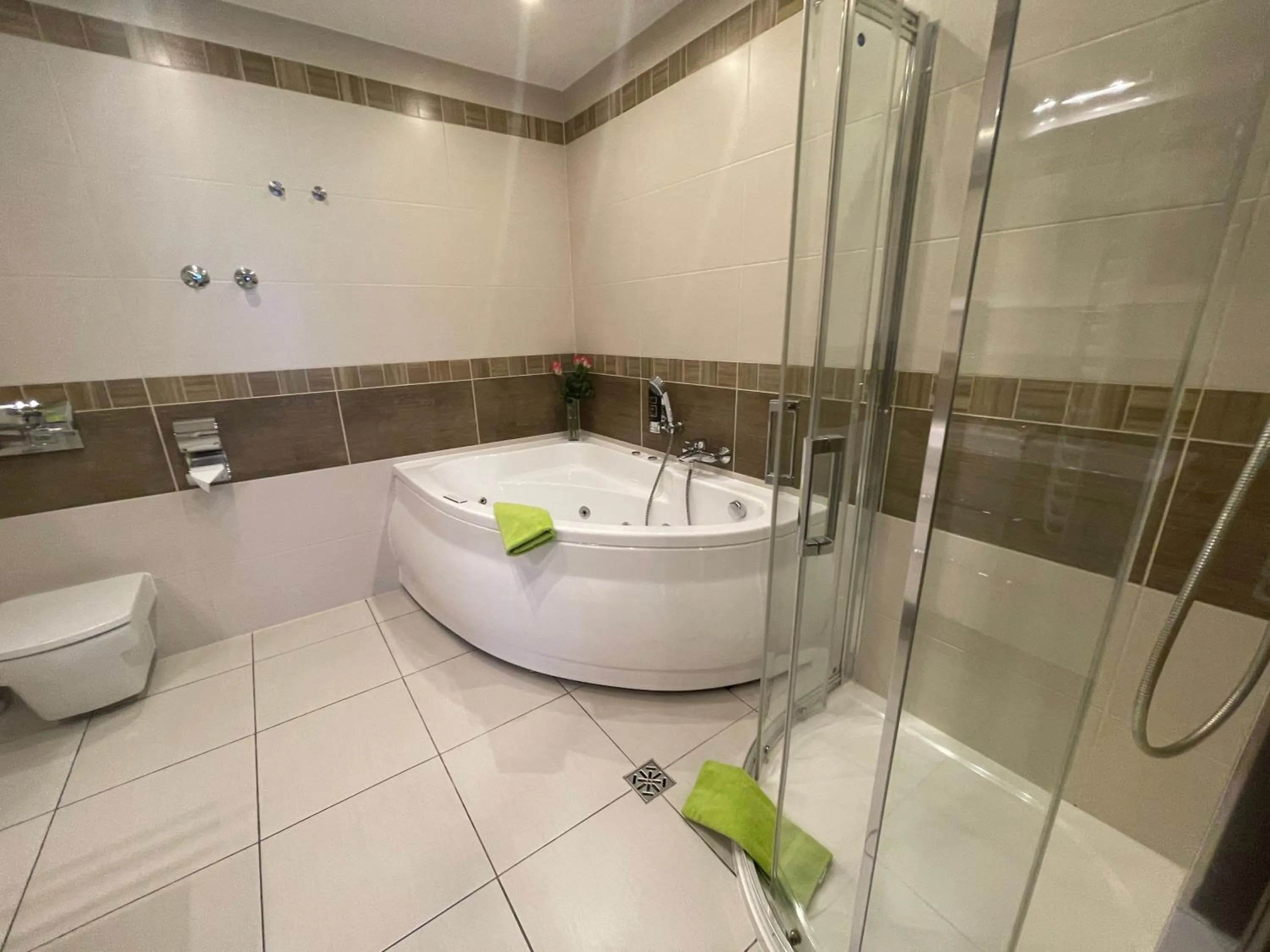 Toilet in Vitalhotel Schulenberg