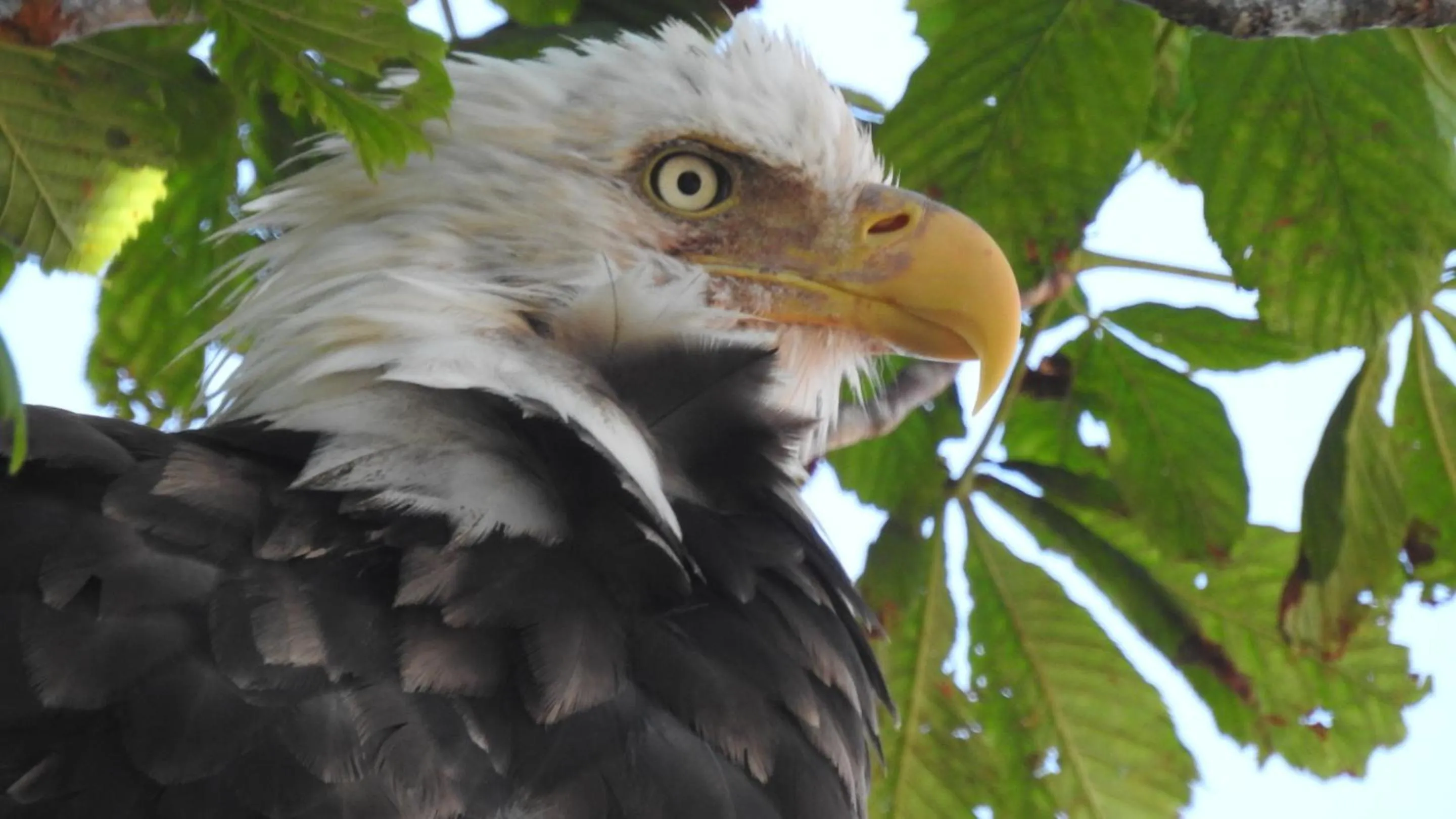 View (from property/room) in Cresthaven By the Sea
