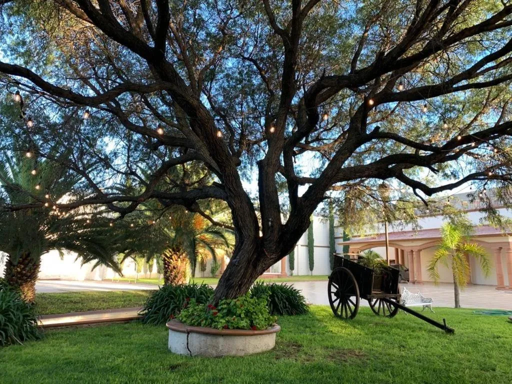 Hotel la finca