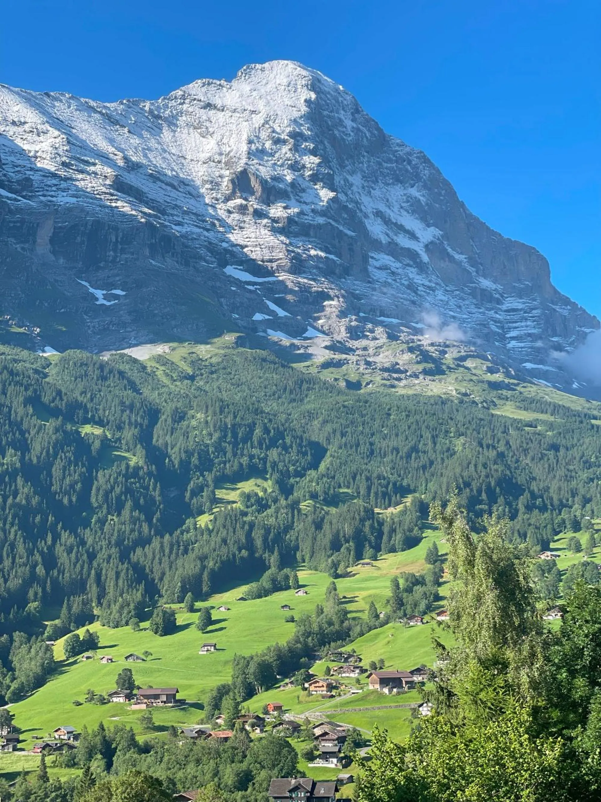 View (from property/room) in Jungfrau Lodge, Swiss Mountain Hotel