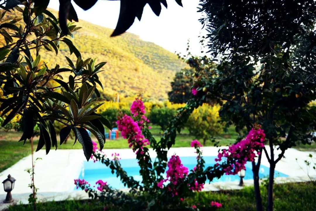 Natural landscape in Pir Efes Konakları