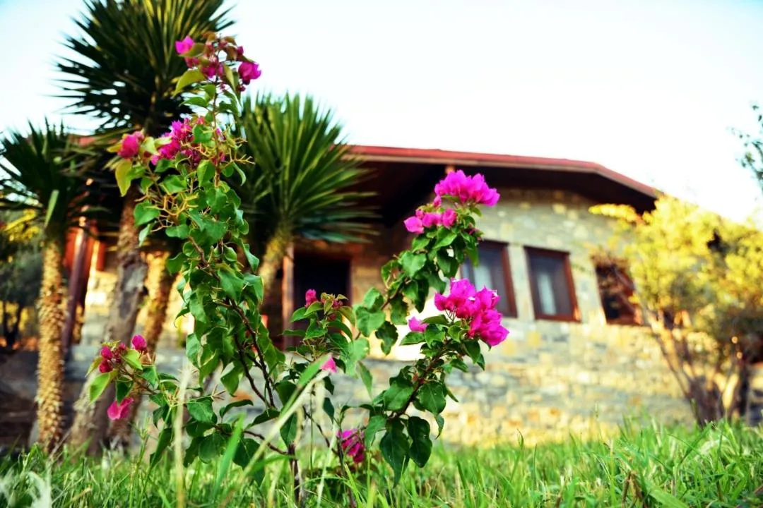 Natural landscape in Pir Efes Konakları
