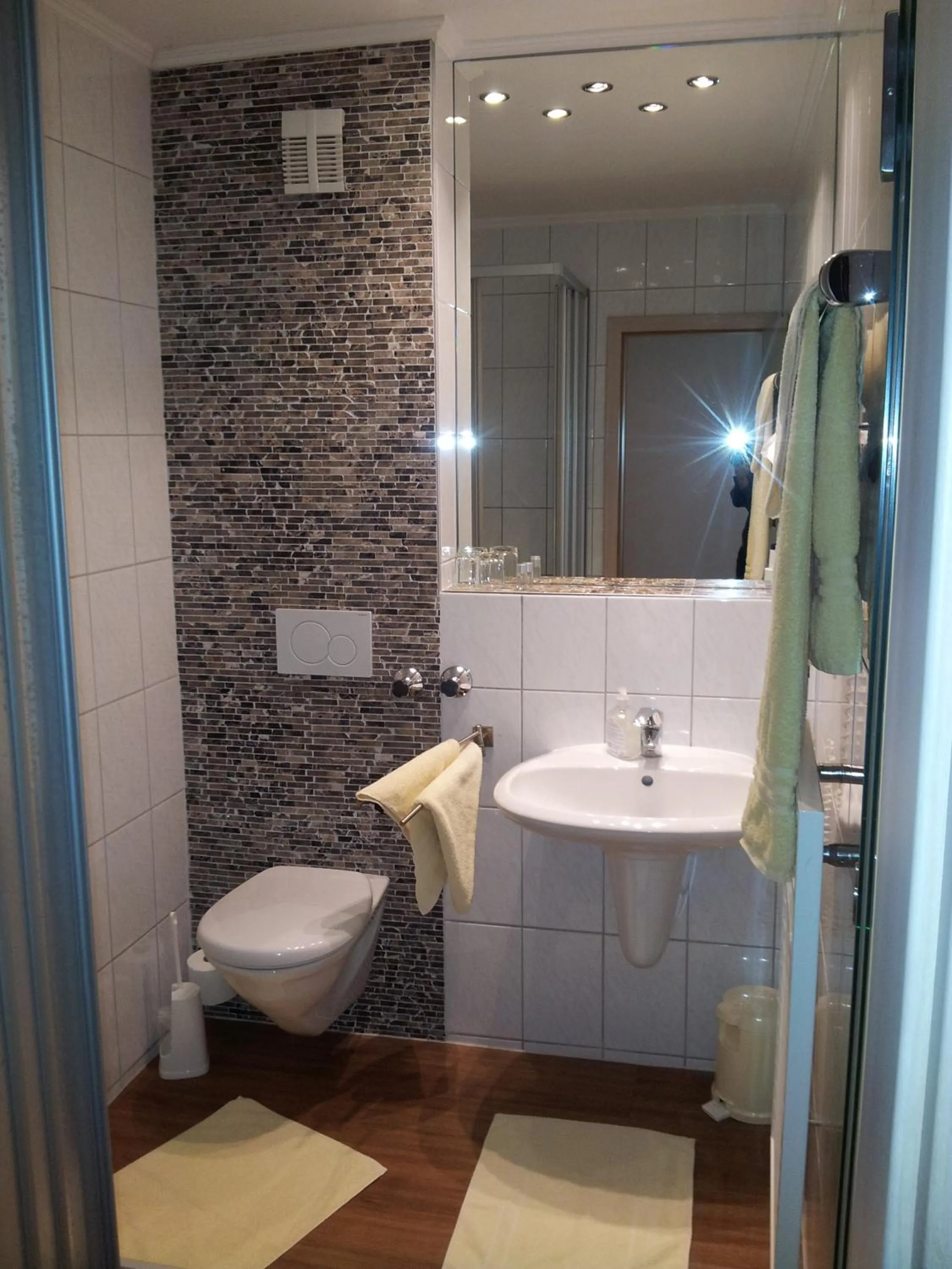 Bathroom in Hotel Haase