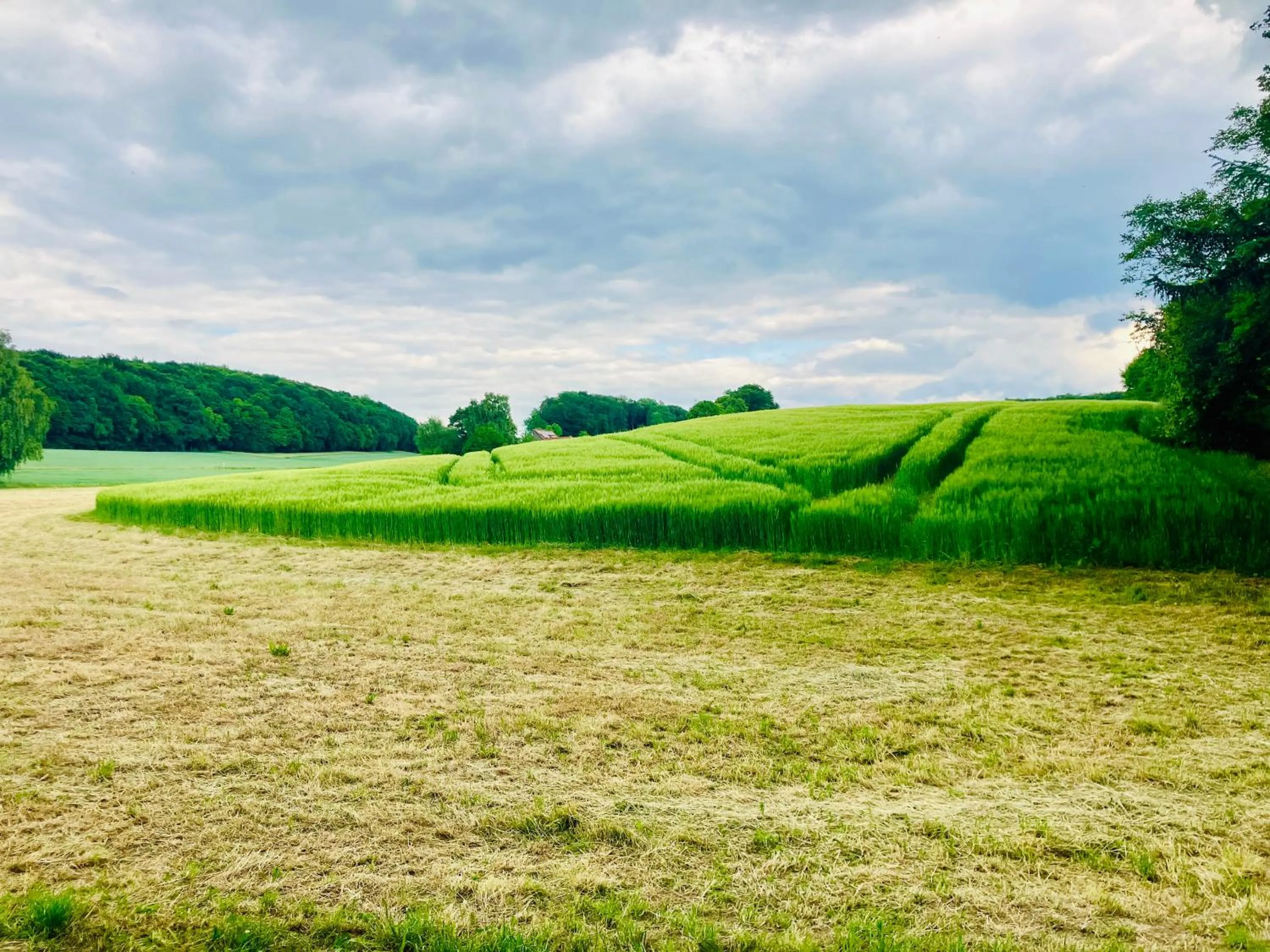 Natural landscape in Gästehaus Alte Liebe