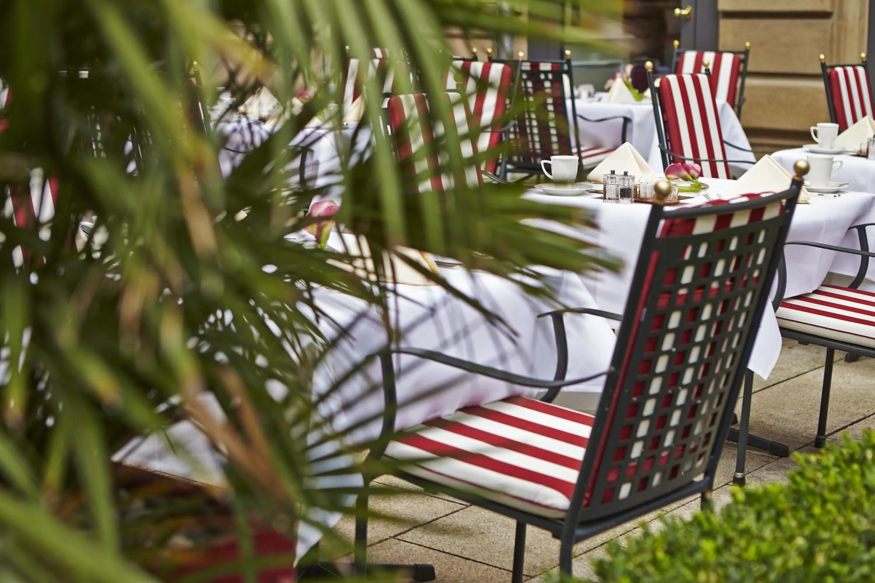 Patio in Steigenberger Icon Frankfurter Hof