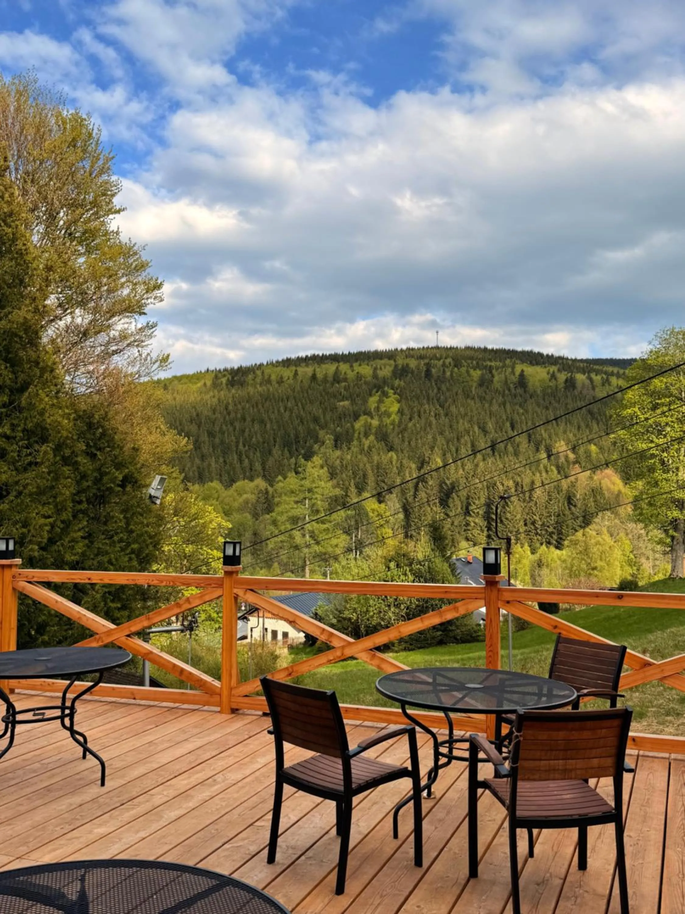 Horský hotel Vidly