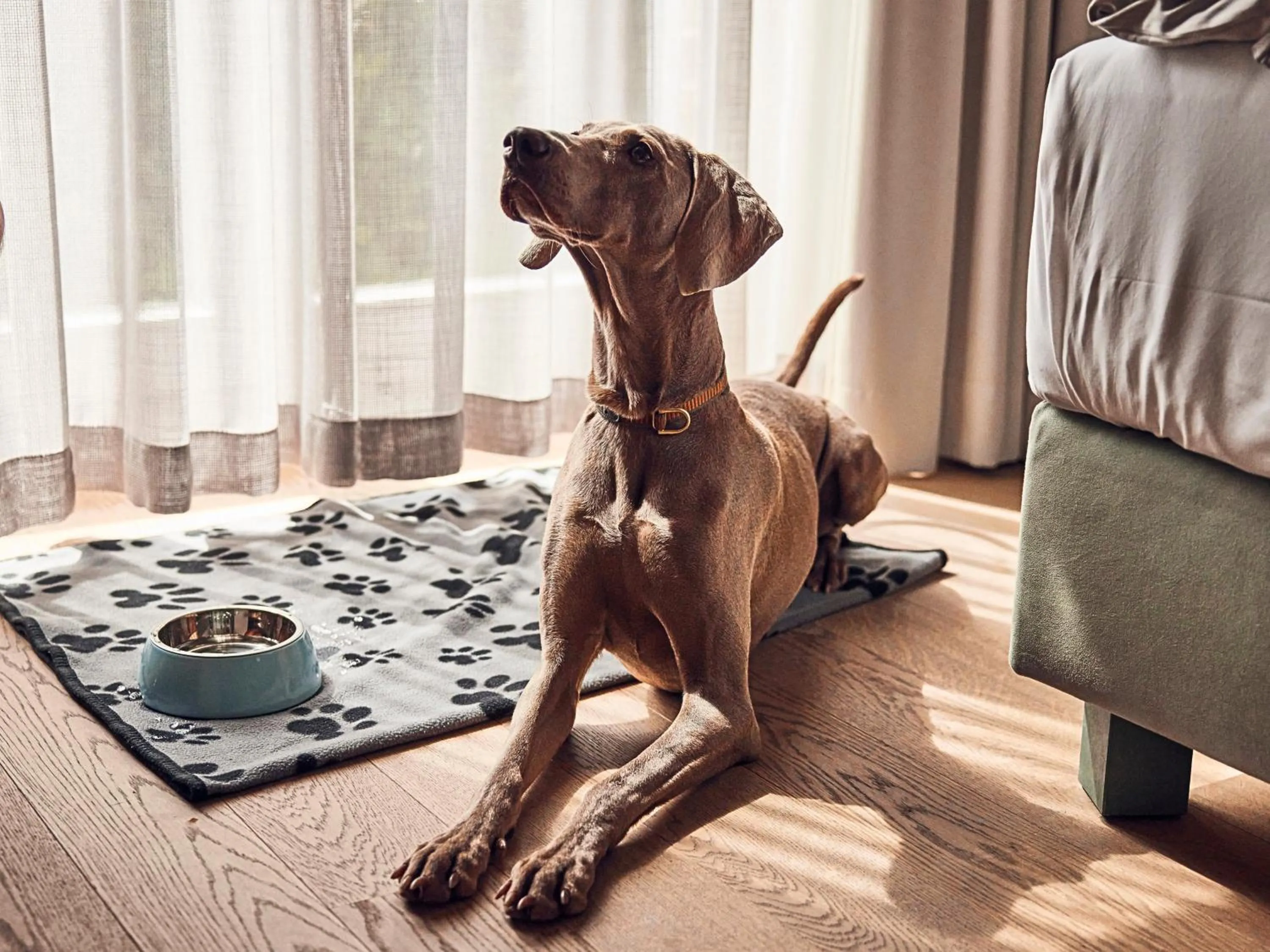 Animals in Steigenberger Hotel Treudelberg Hamburg