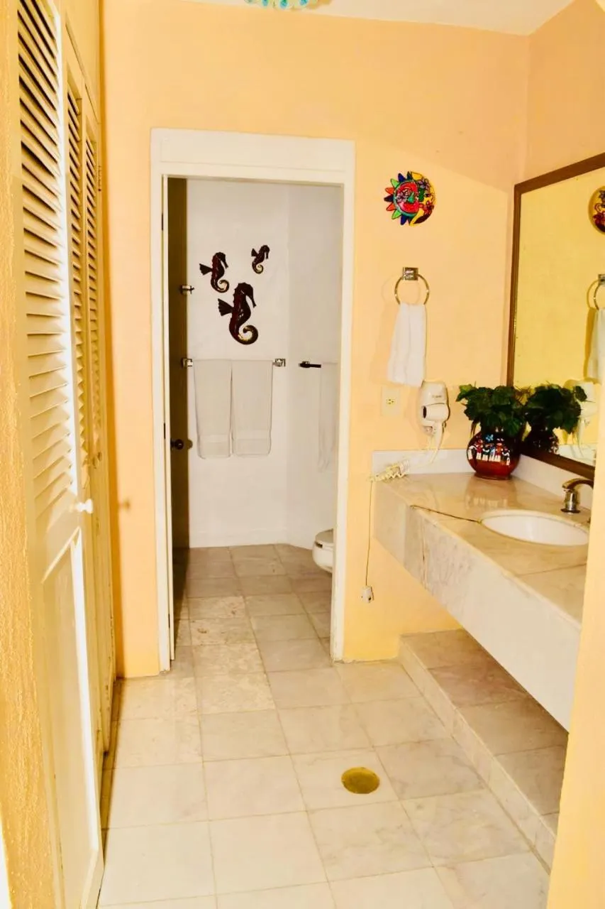 Bathroom in HAB PTa B ÁREA DE VILLAS DENTRO DEL HOTEL Junto al Krystal EN IXTAPA WIFI 2A 1M Con playa