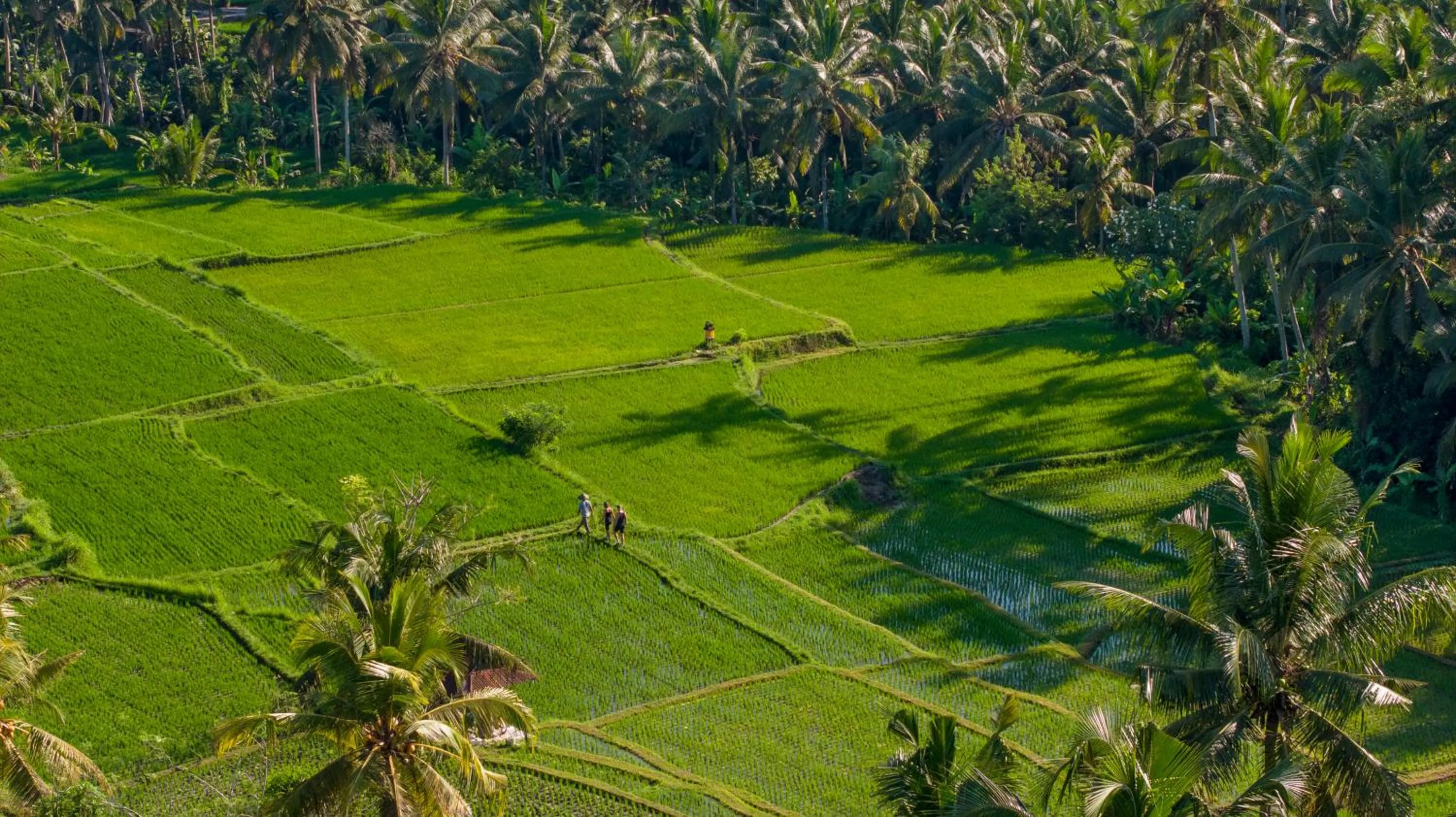 Spring in Lasamana Villas Ubud by GenuineHost