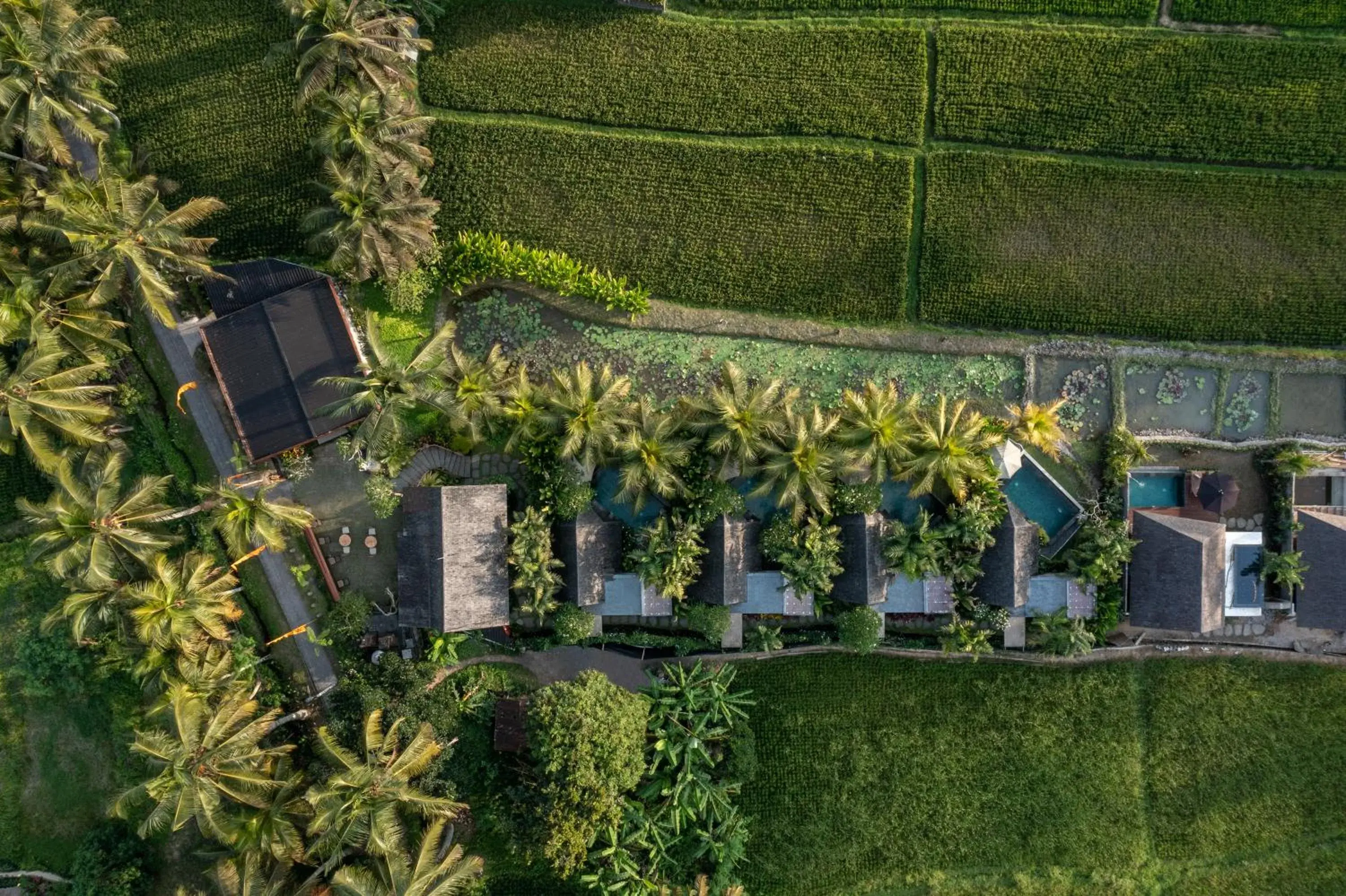 Property building in Lasamana Villas Ubud by GenuineHost Property building in Lasamana Villas Ubud by GenuineHost