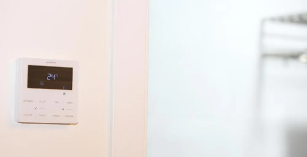 Decorative detail in H.PALMONES