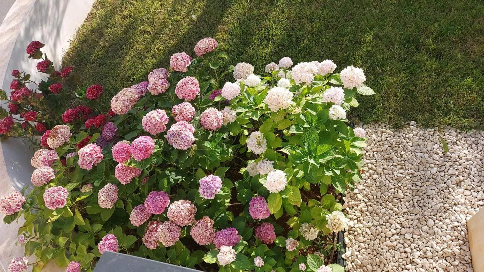 Garden in La Casa di Francesca B&B