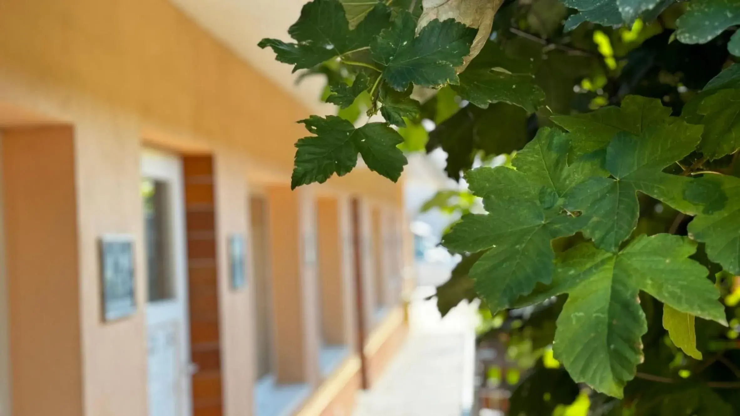 Facade/entrance in Rhein-Hotel Nierstein Facade/entrance in Rhein-Hotel Nierstein