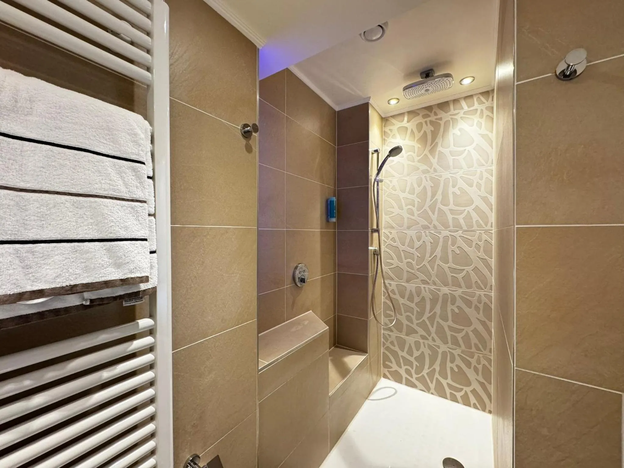 Shower in Rhein-Hotel Nierstein