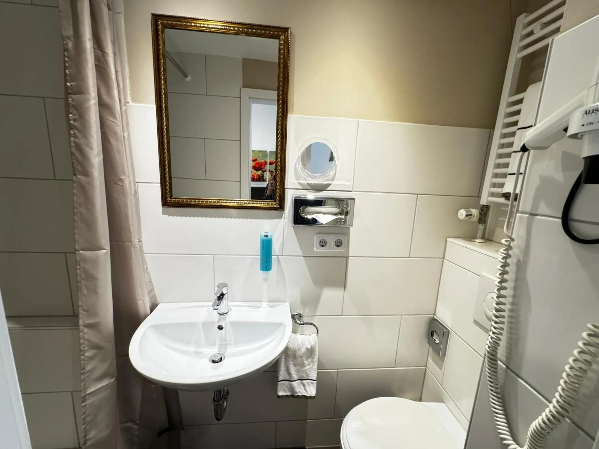 Toilet in Rhein-Hotel Nierstein