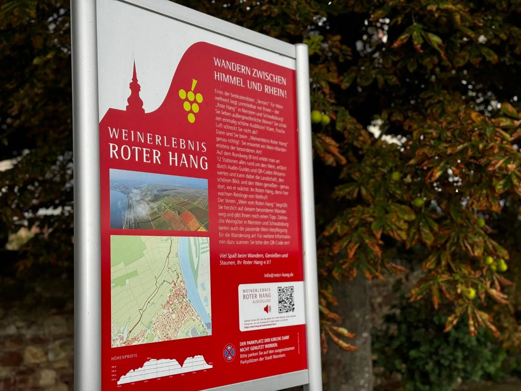 Activities in Rhein-Hotel Nierstein