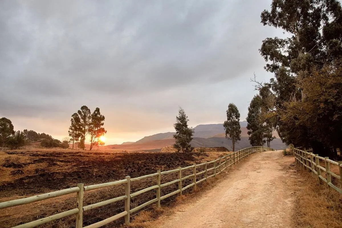 Natural landscape in Bergview Farm Cottage by First Private Stays