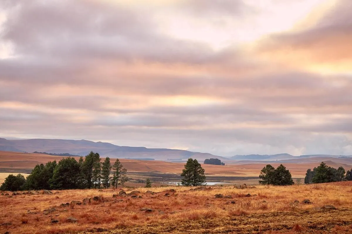 Natural landscape in Bergview Farm Cottage by First Private Stays