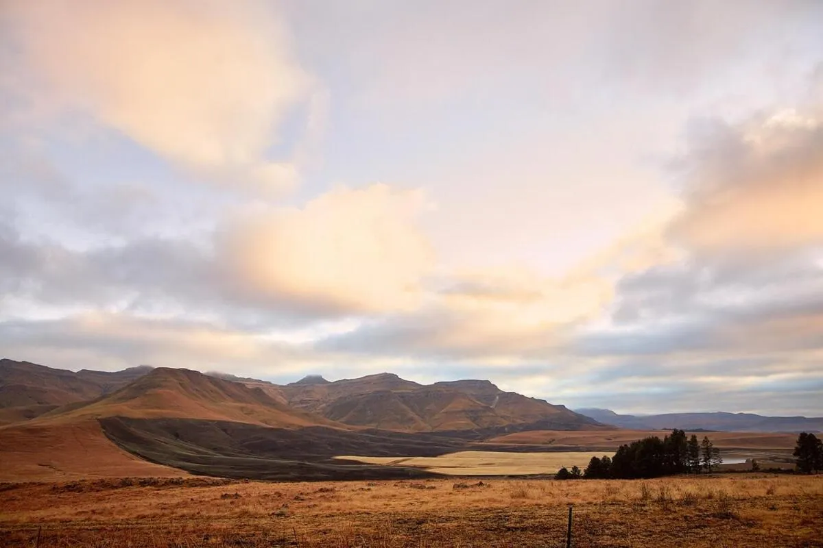 Natural landscape in Bergview Farm Cottage by First Private Stays