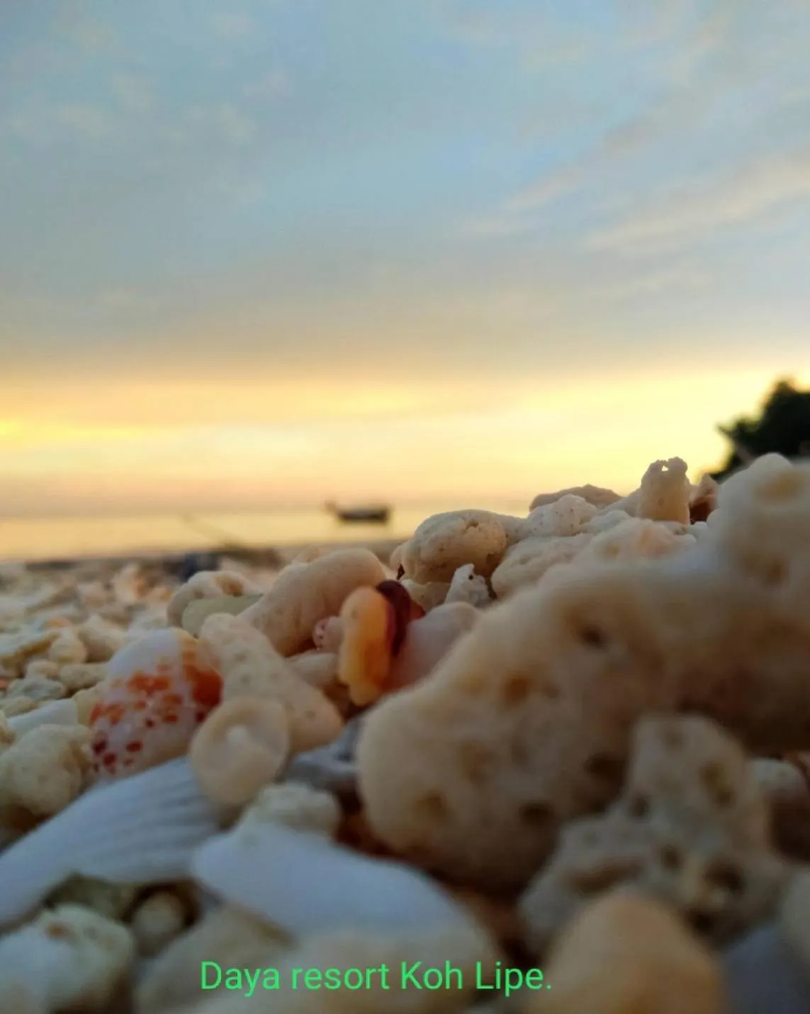 DAYA Beach, Lipe local