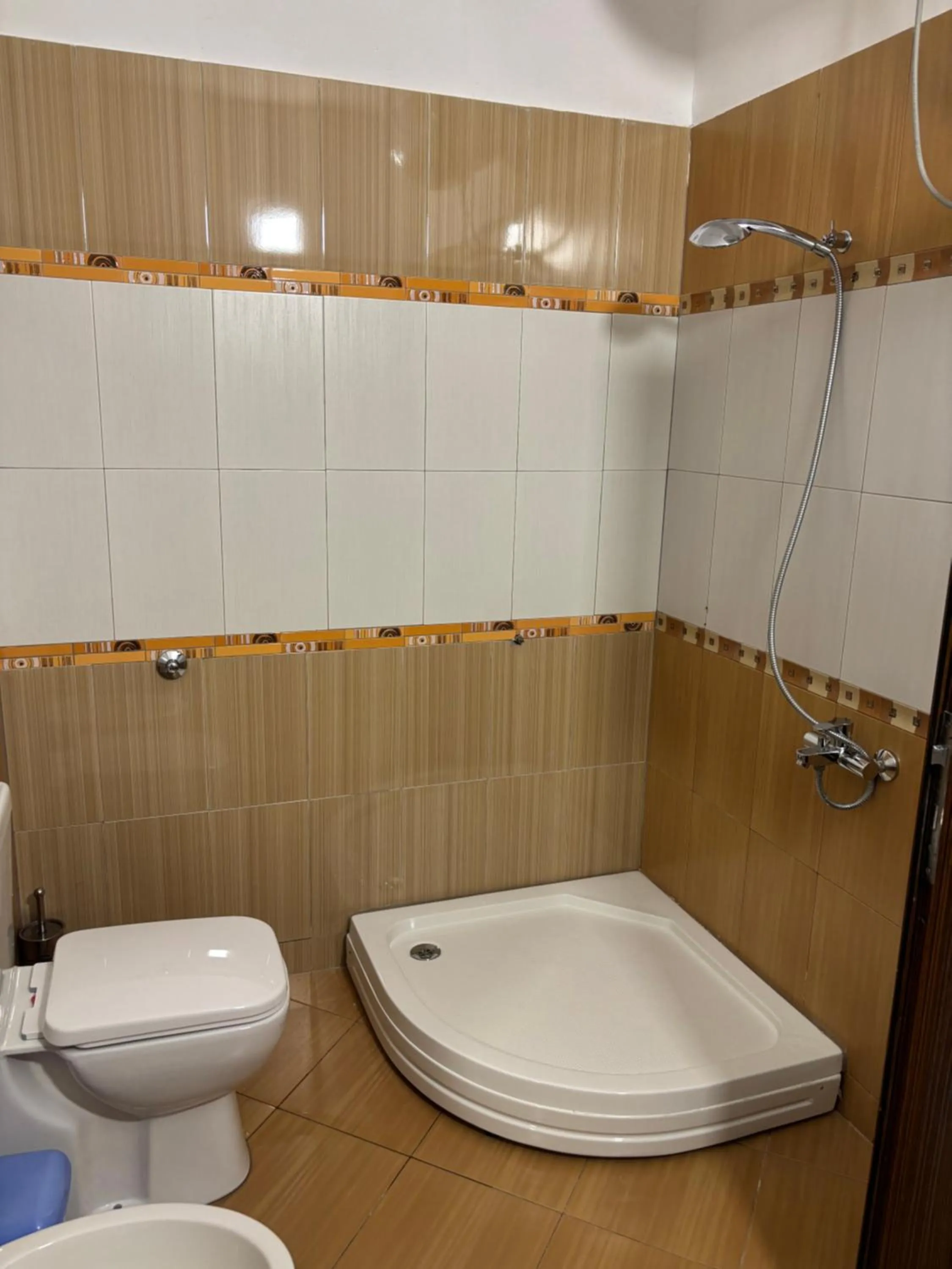 Bathroom in Hotel Vila Stefa