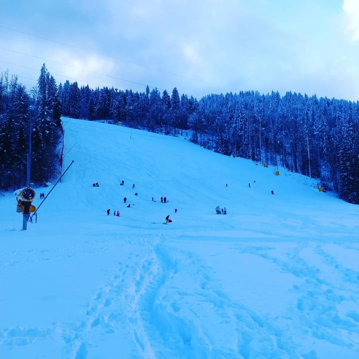 Al sentiero di Charly