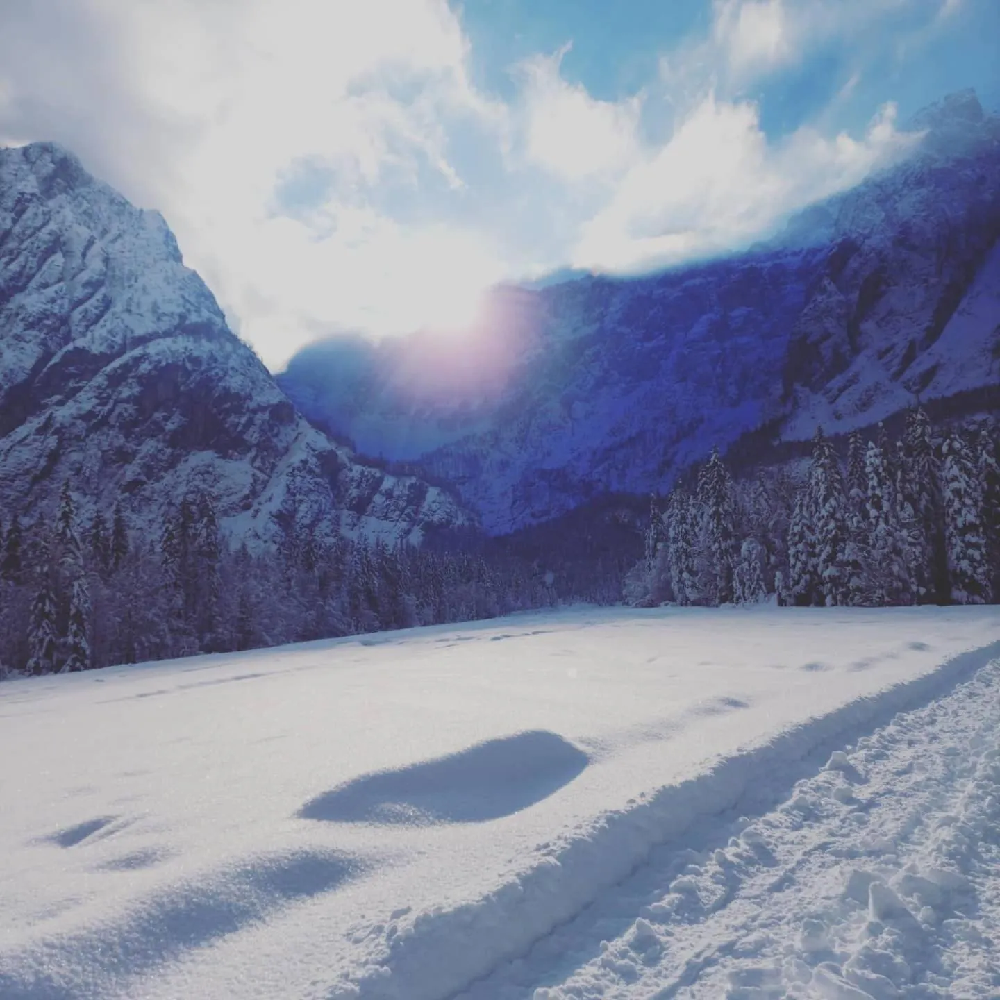 Al sentiero di Charly