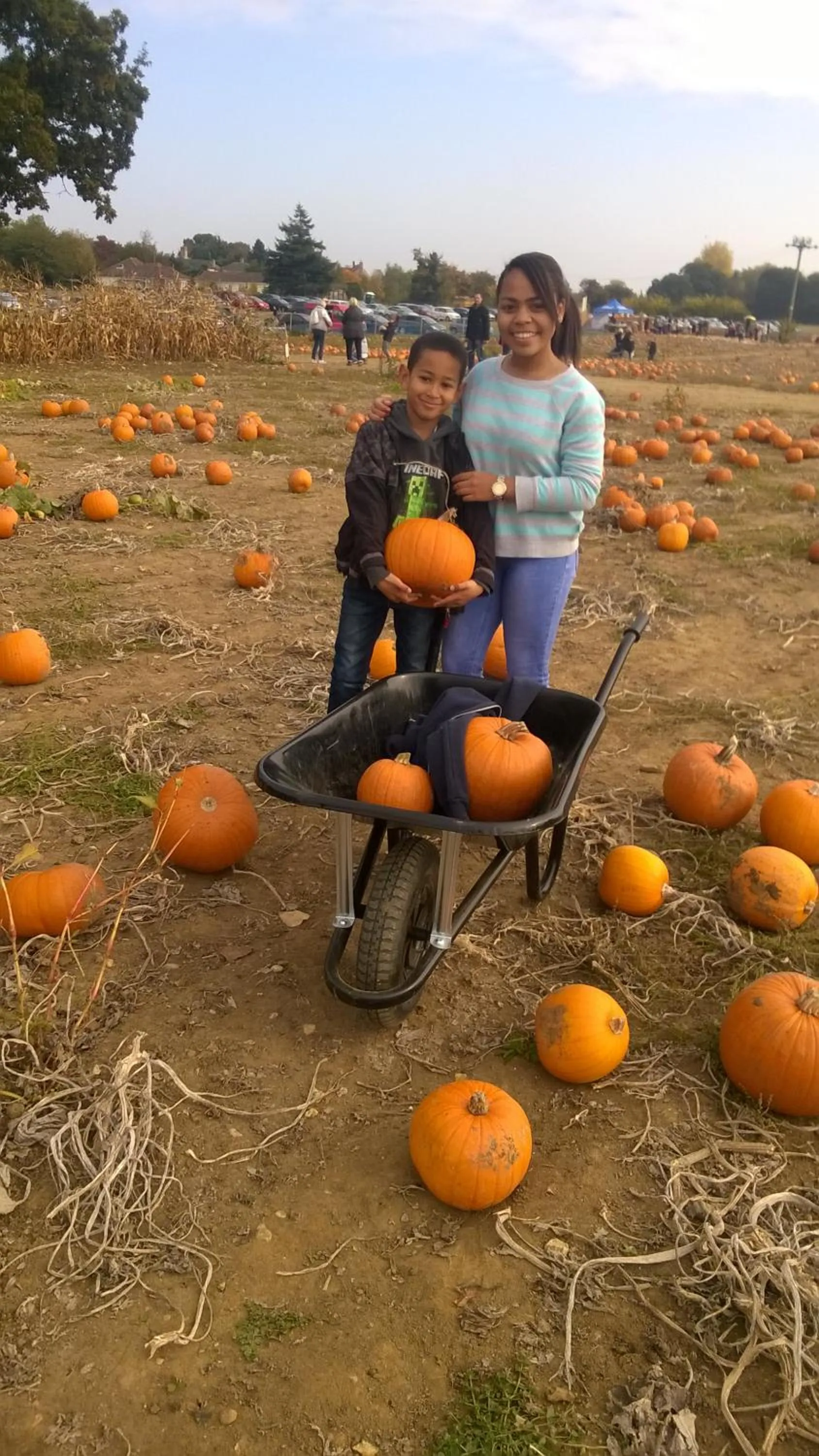 Activities in 2013 Willerby Sunset Static Caravan Holiday Home