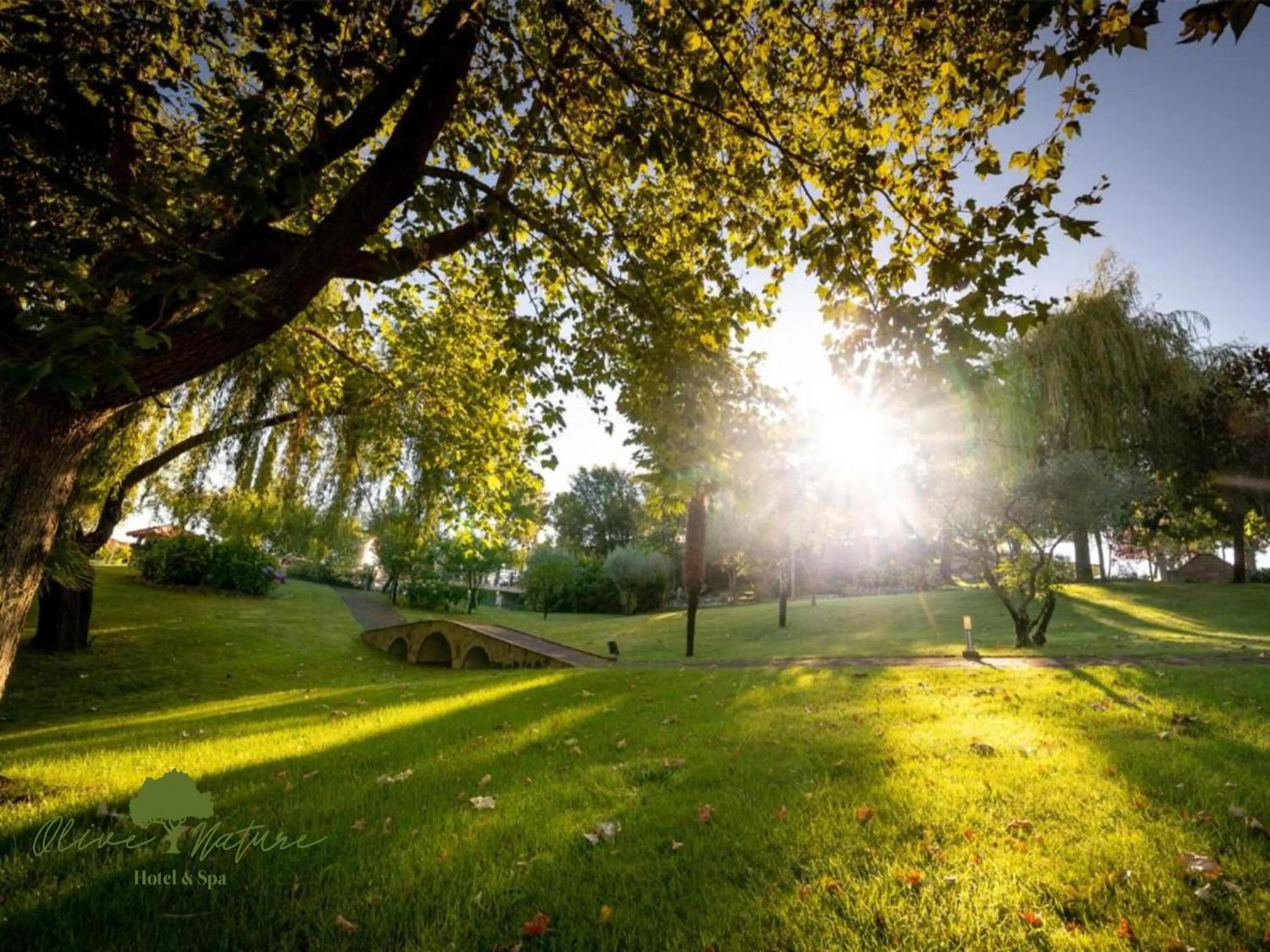 Olive Nature Hotel & SPA - Quinta Valle de Passos