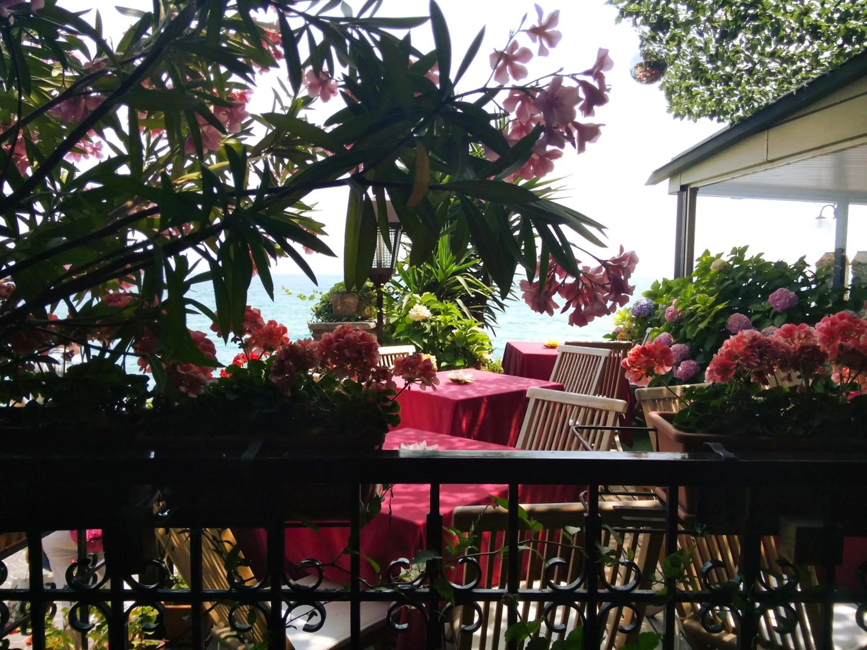 Patio in Hotel Grifone