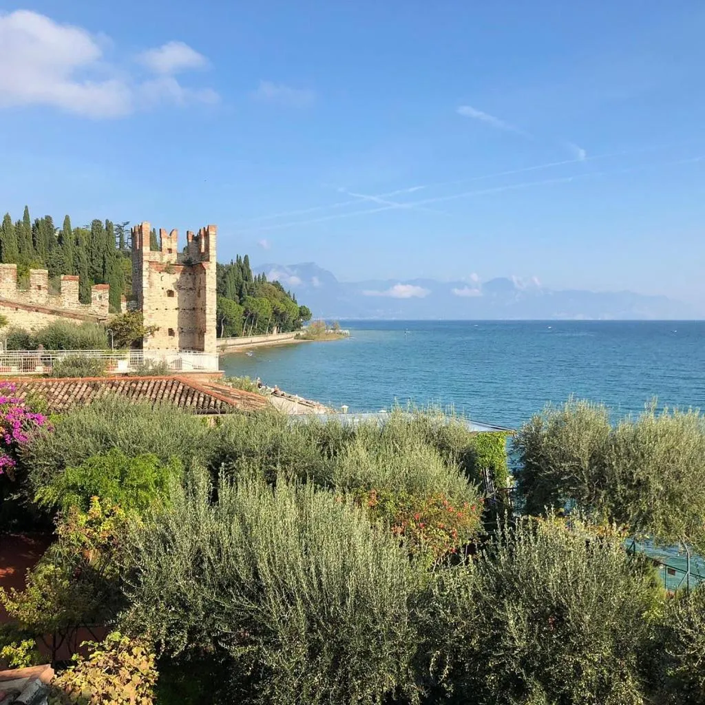 View (from property/room) in Hotel Grifone