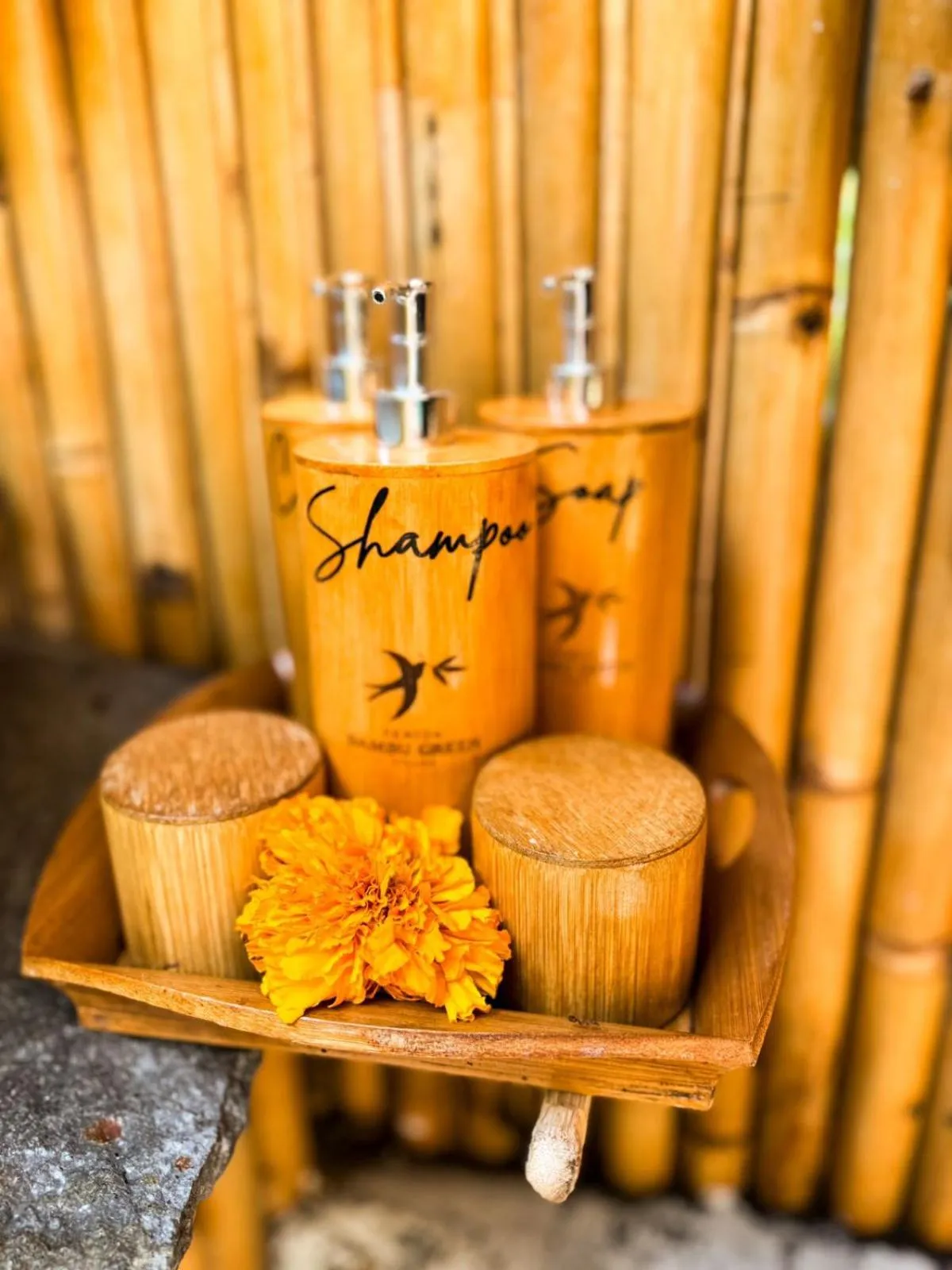 Day in Penida Bambu Green Suites