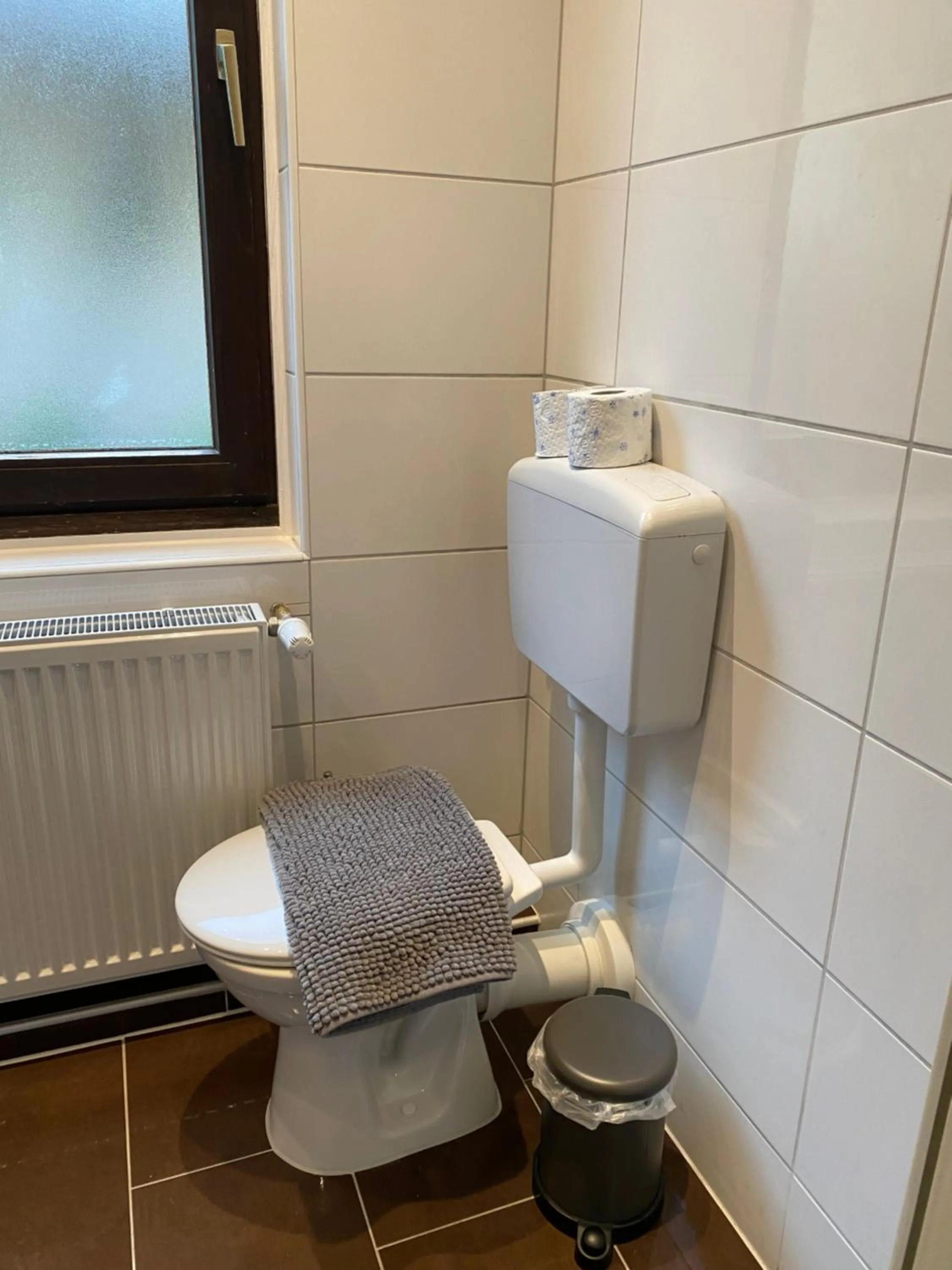 Toilet in Hotel Waldhorn