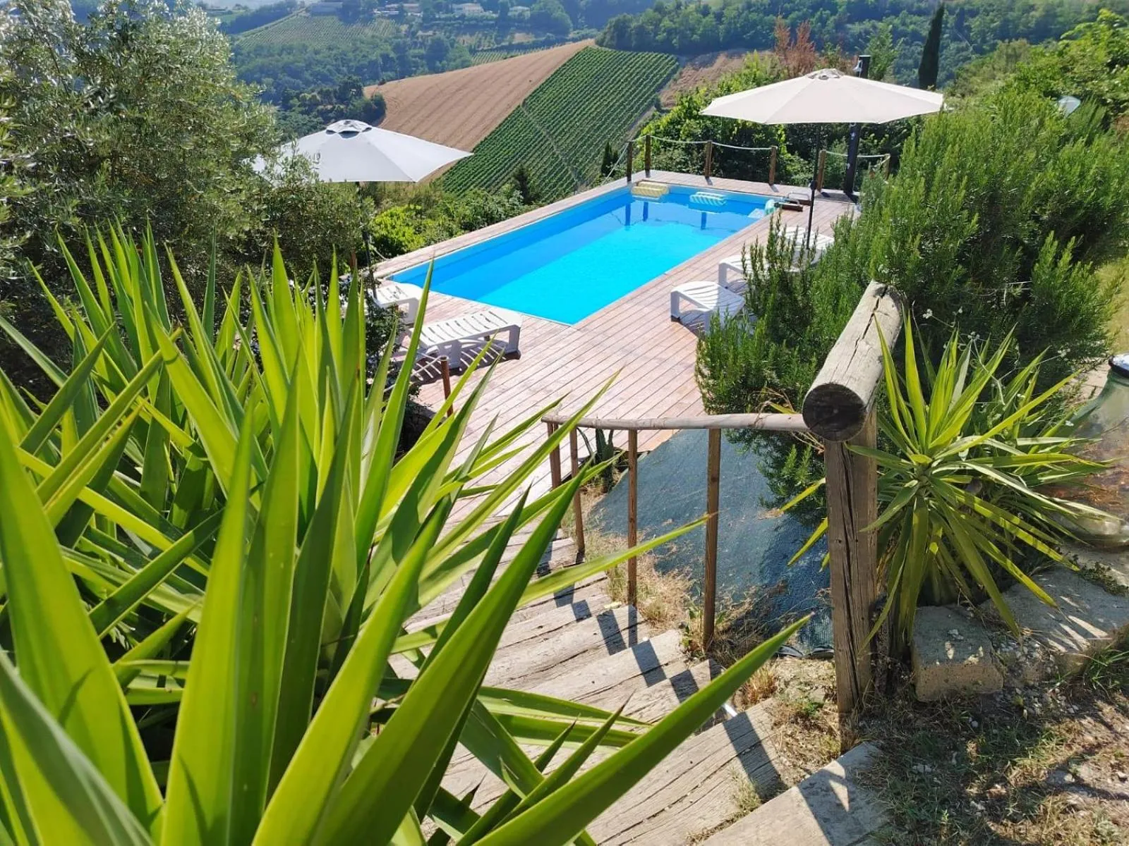 Swimming pool in B & B Almalù