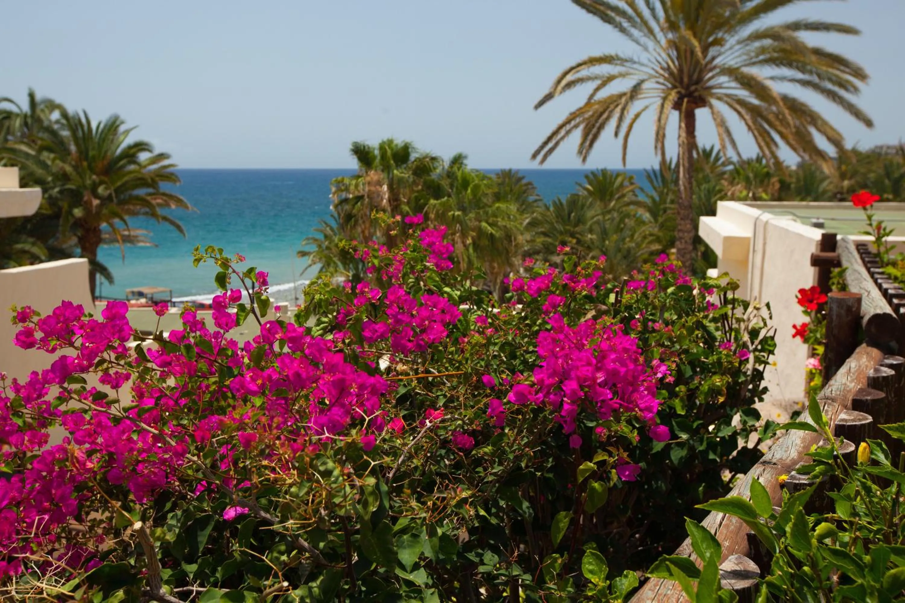 Garden in Grupotel Tres Vidas