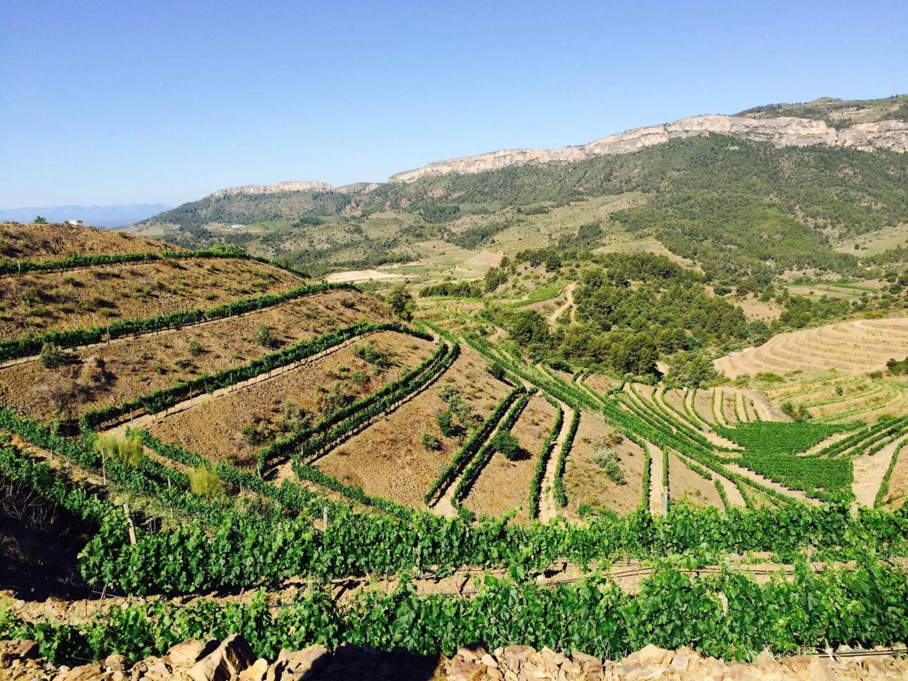 Natural landscape in Buil & Gine Wine Hotel