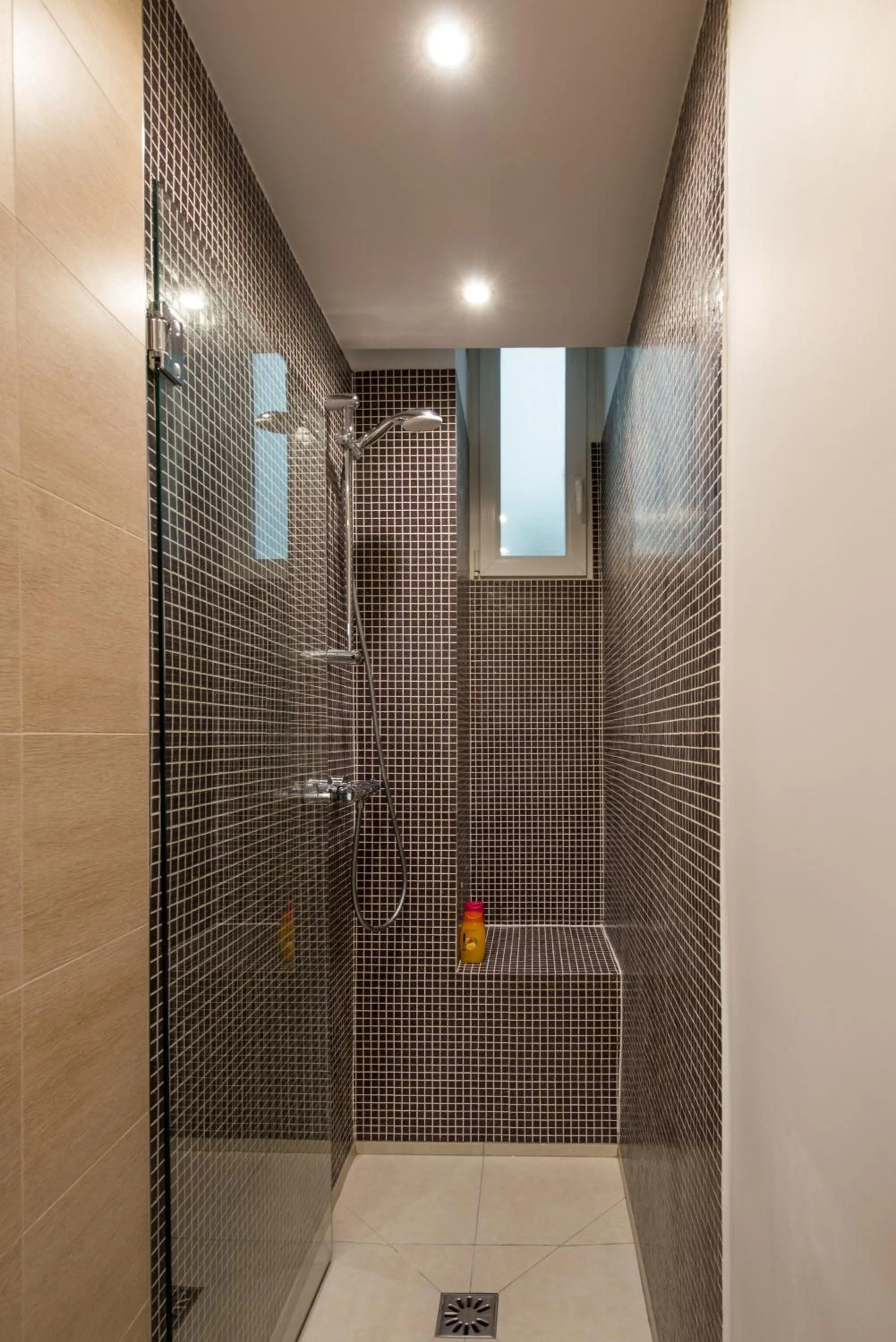 Shower in 2 BR Appartement Near Tour Eiffel & Trocadéro