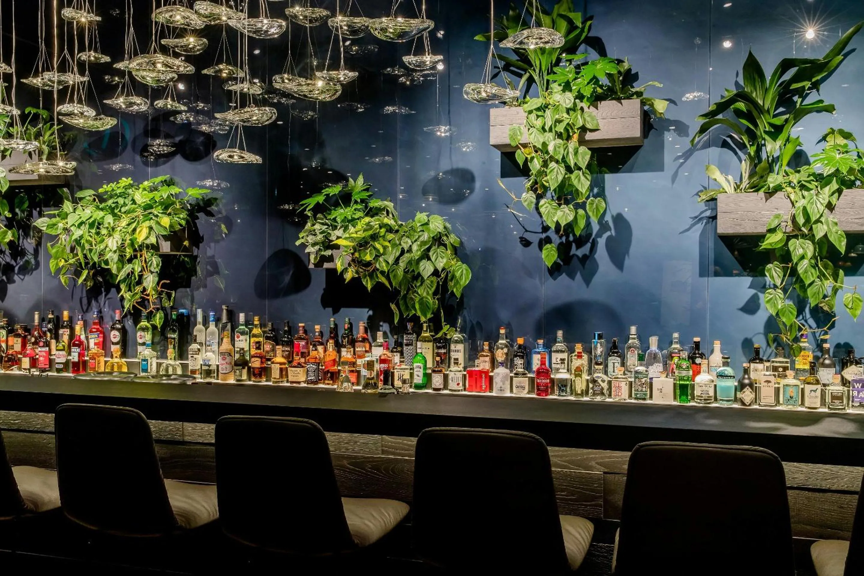 Lounge or bar in Motel One Bonn-Hauptbahnhof