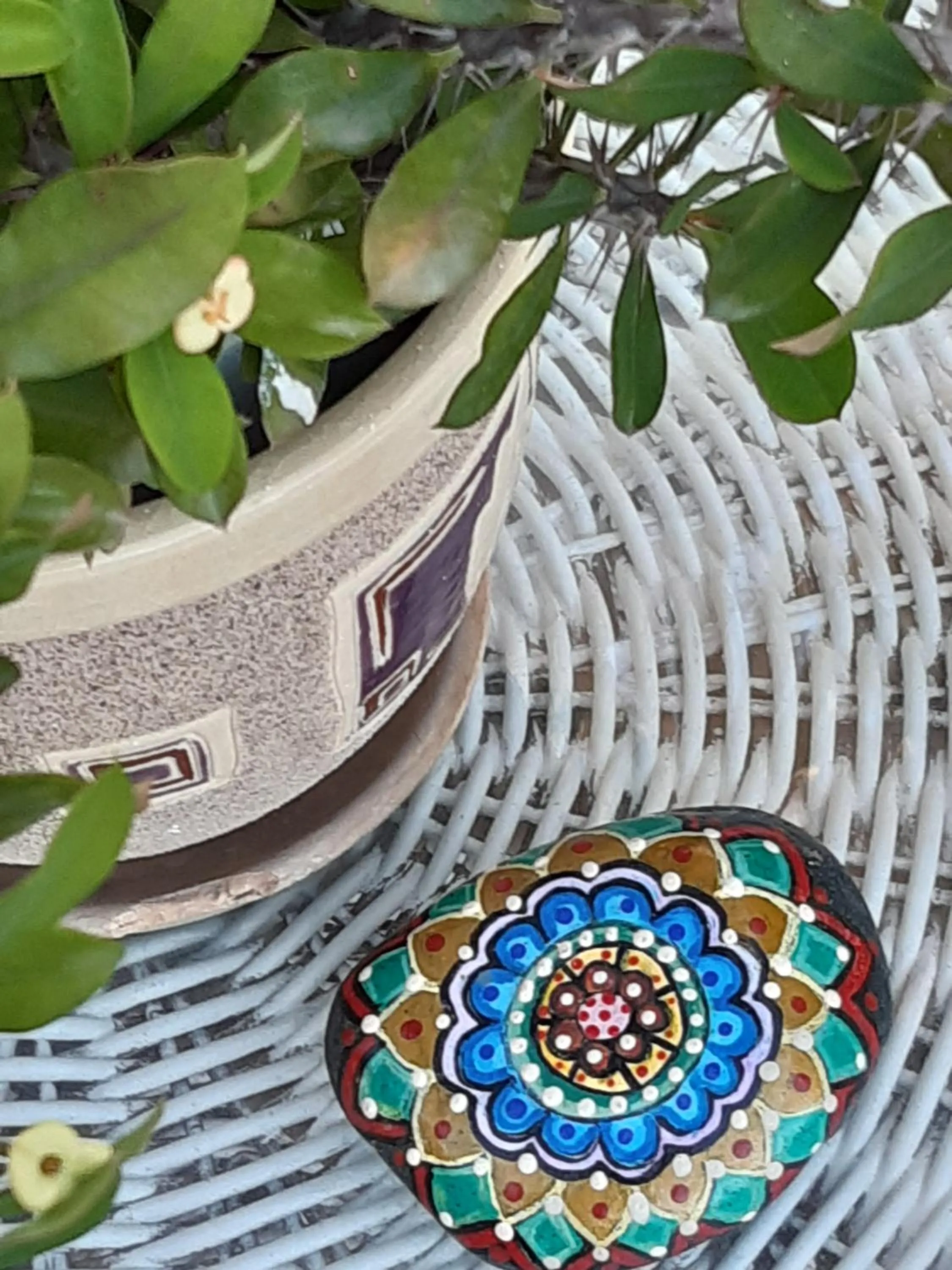 Entertainment in Palmita Hotel Hostel